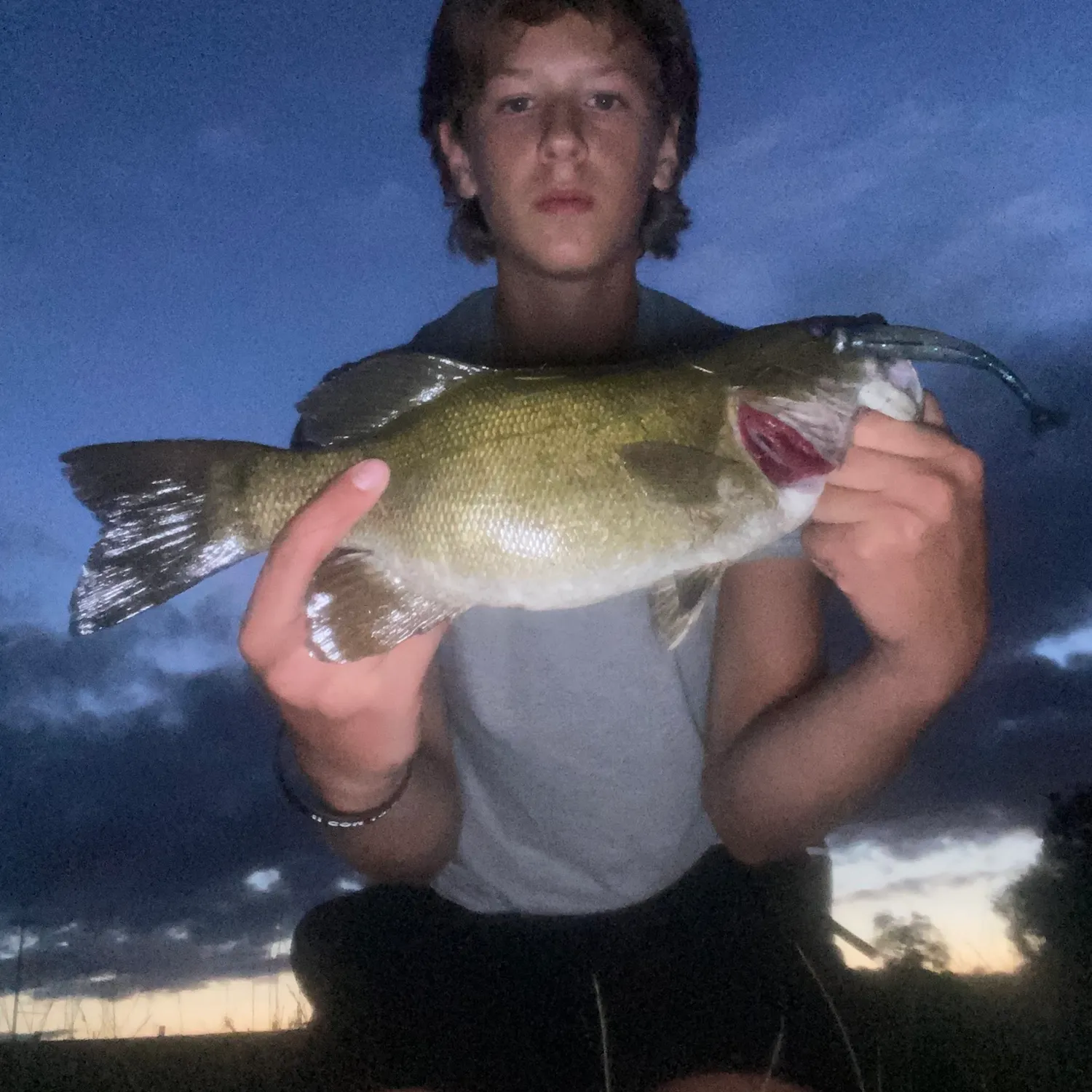 Smallmouth bass caught on Fishbrain