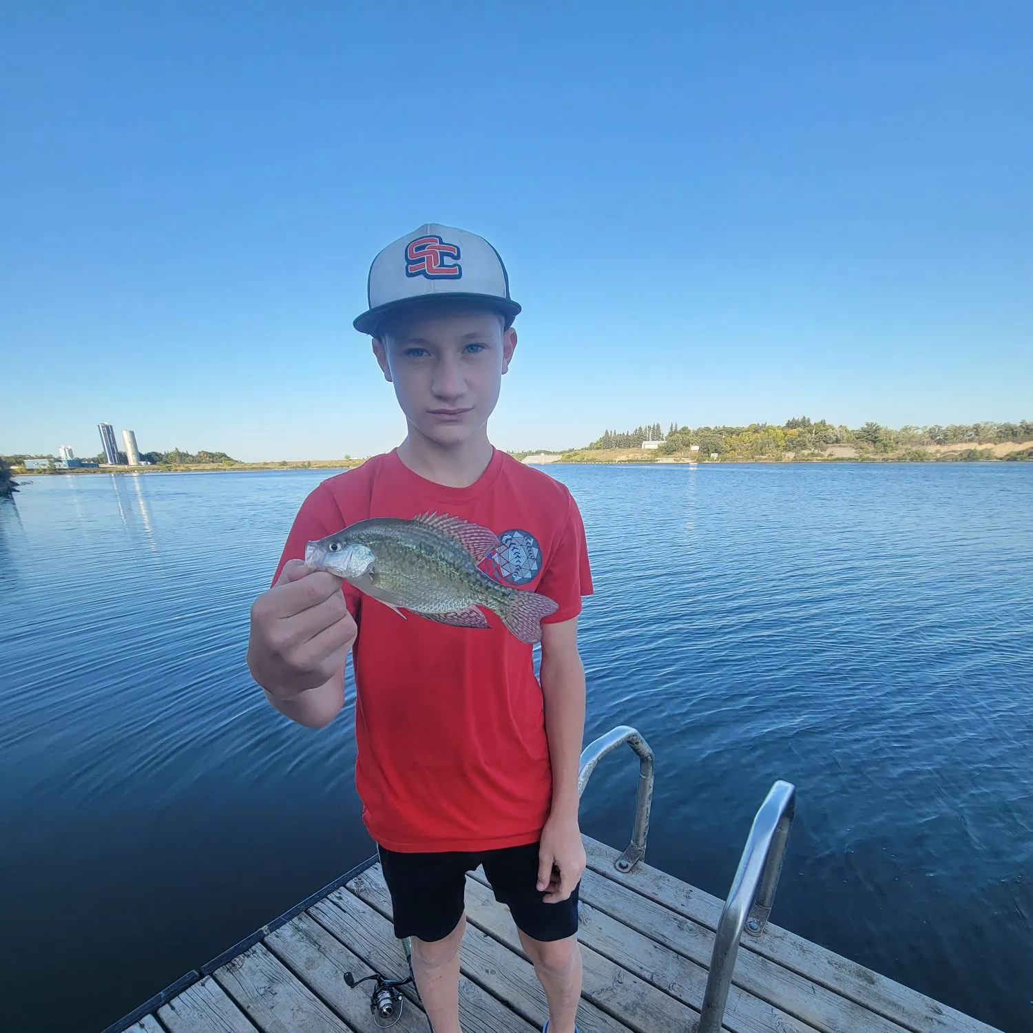 Black crappie caught on Fishbrain