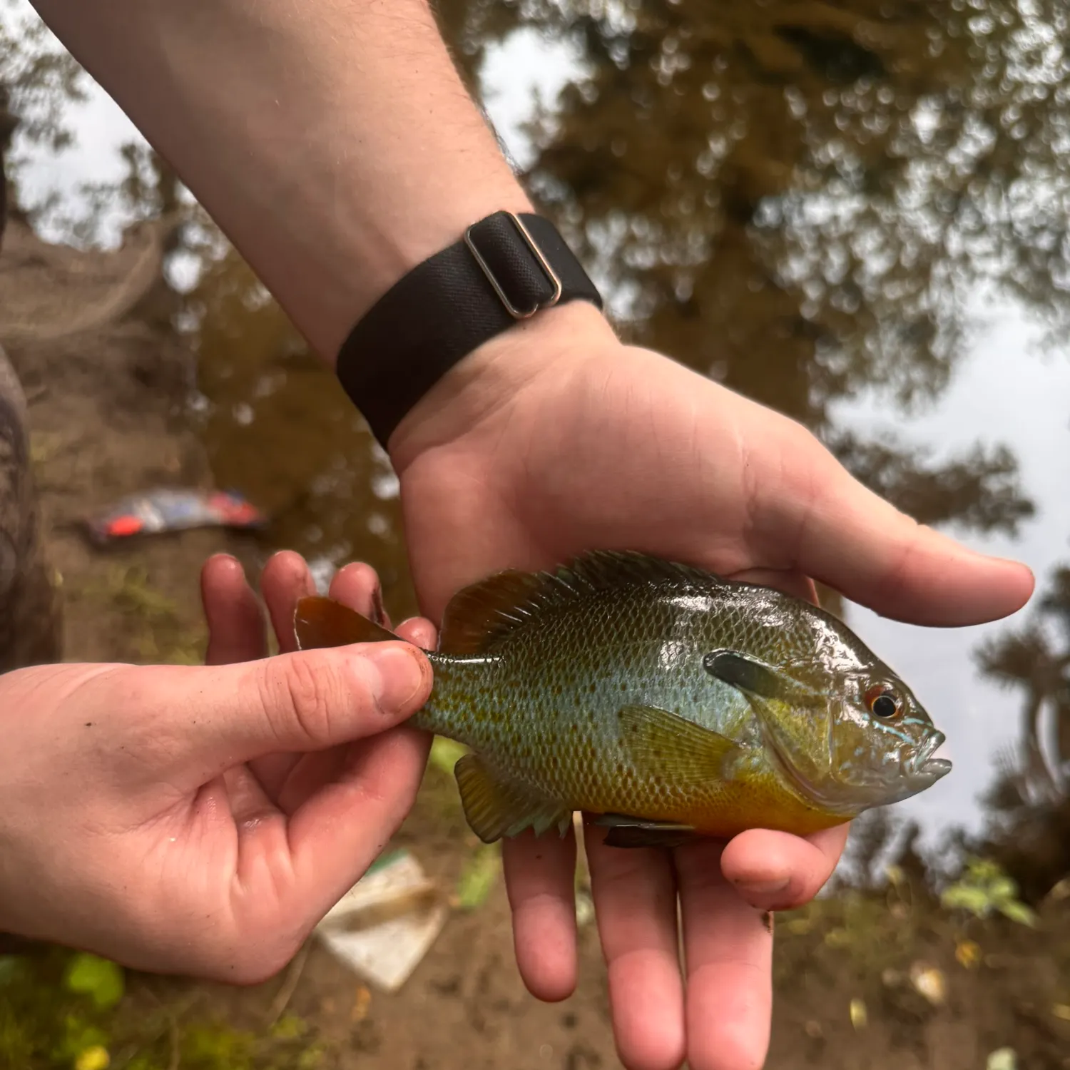 catch