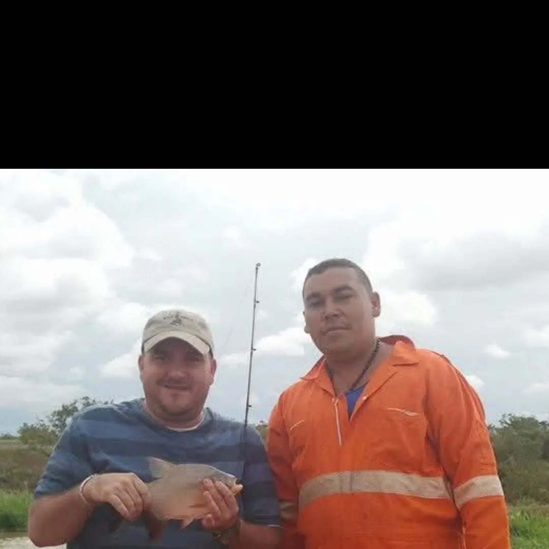 The most recent Red-bellied pacu catches on Fishbrain