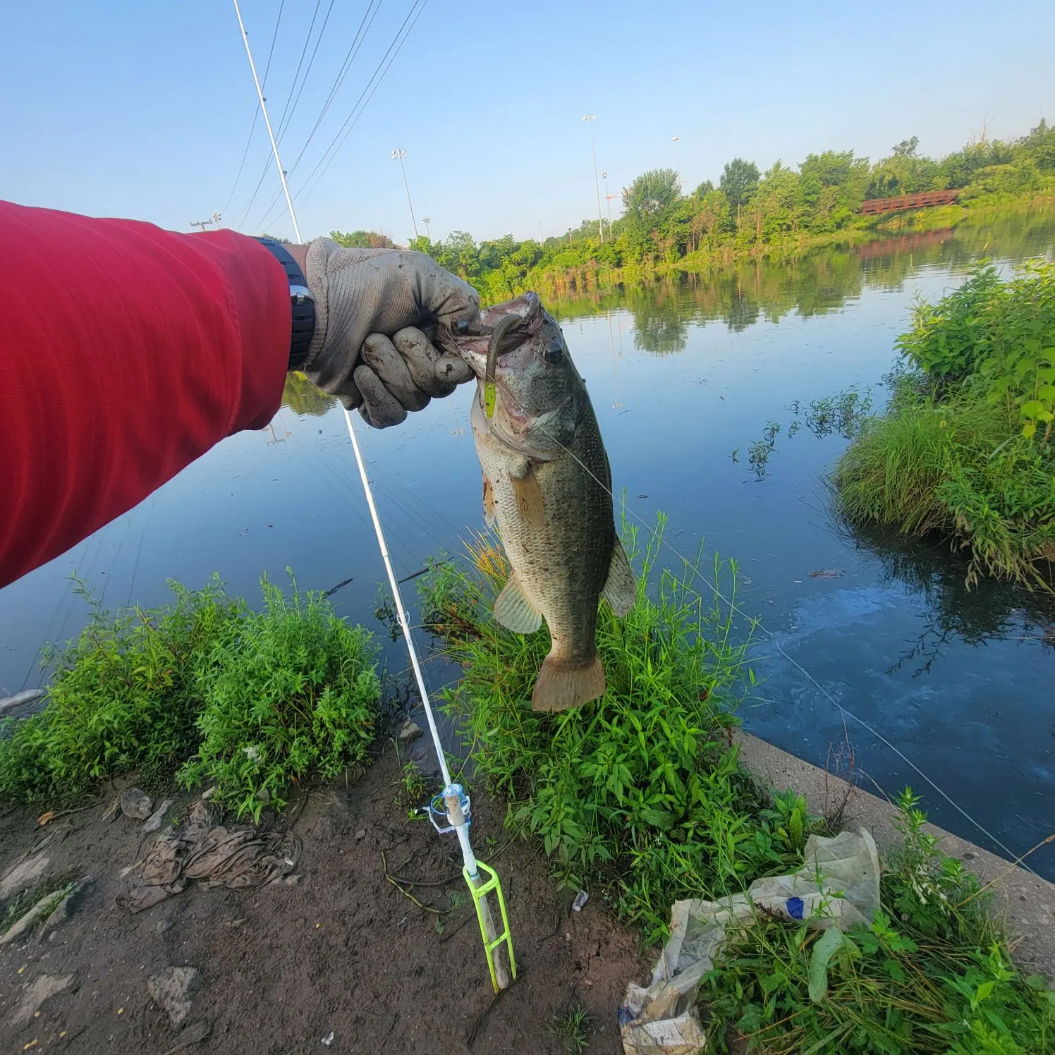 catch