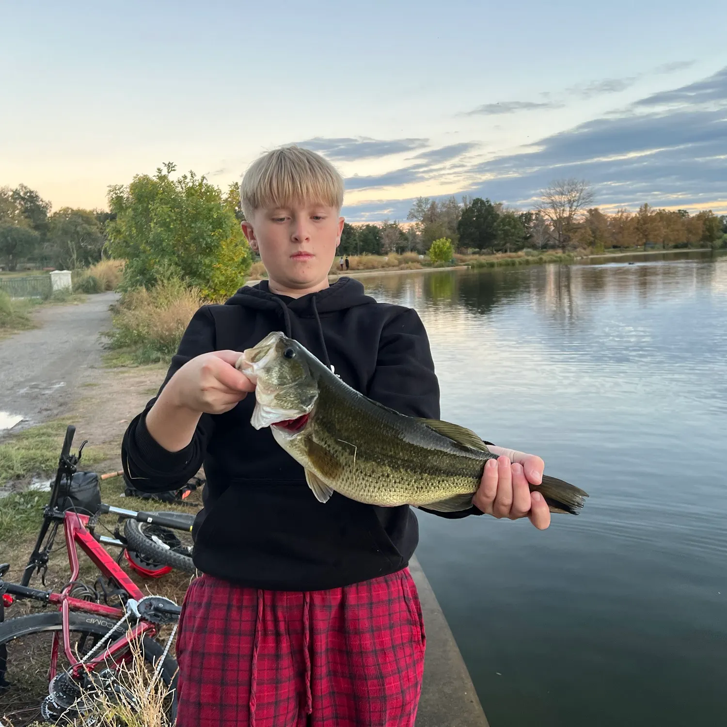 Largemouth bass caught on Fishbrain