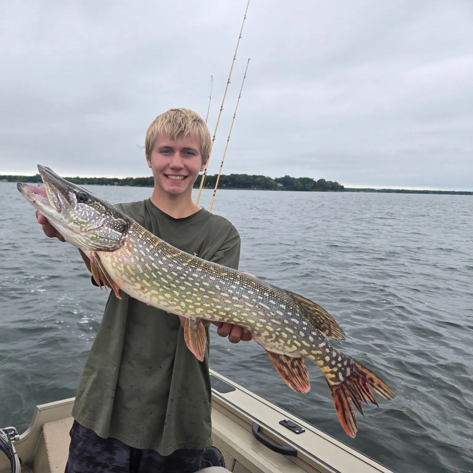 Northern pike caught on Fishbrain