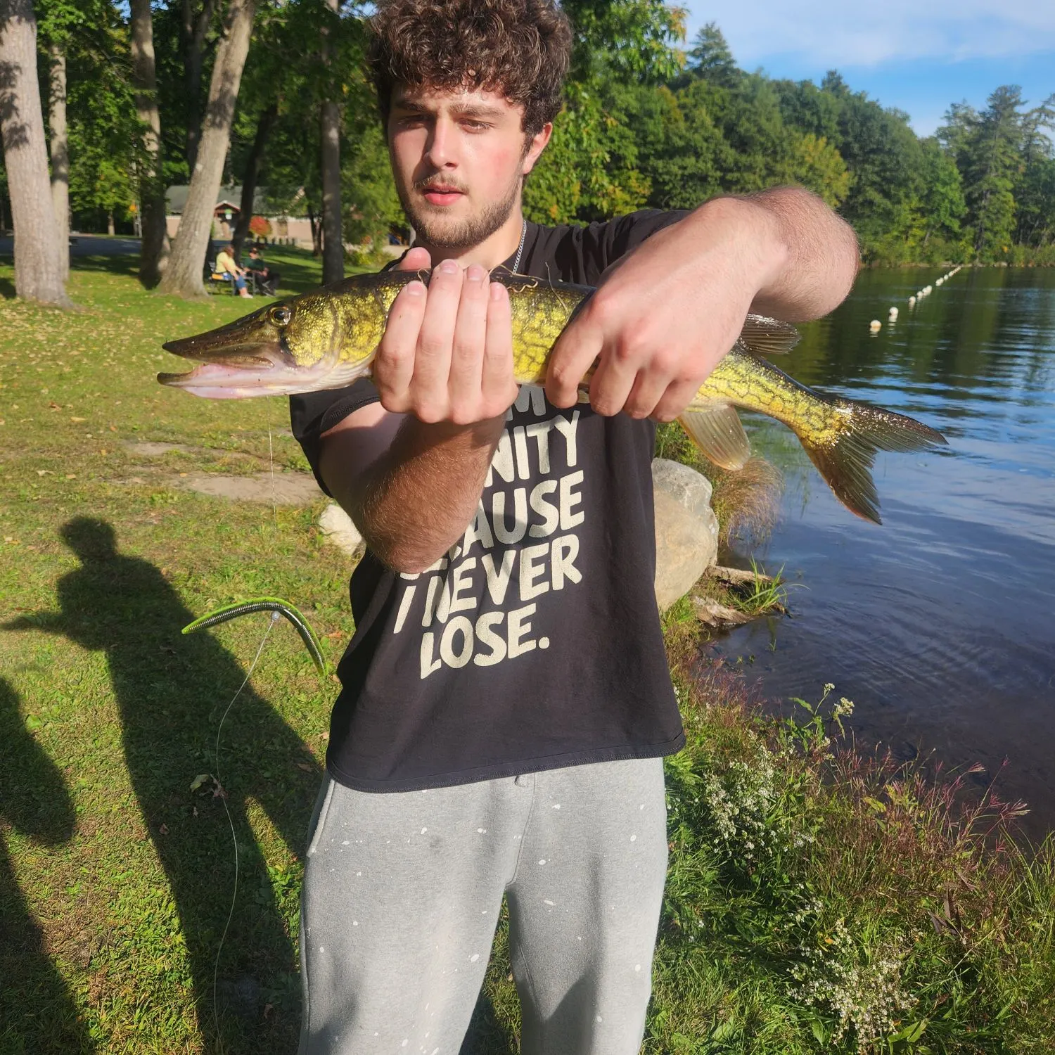 Chain pickerel caught on Fishbrain