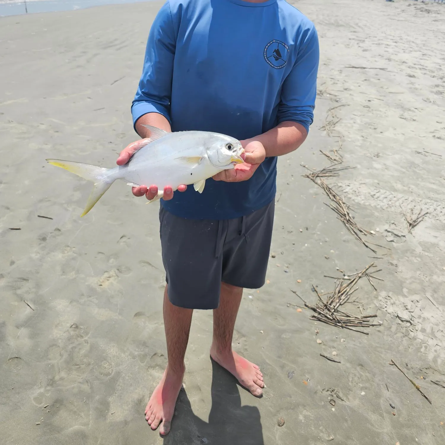 The most recent Southern pompano catches on Fishbrain
