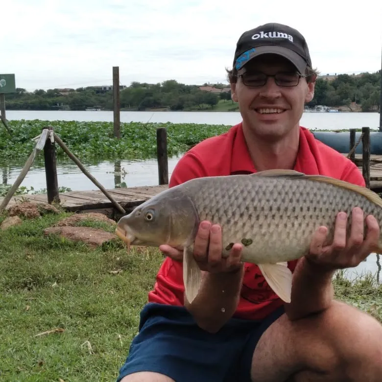 ᐅ Roodeplaat Dam fishing reports🎣• Gauteng, South Africa fishing