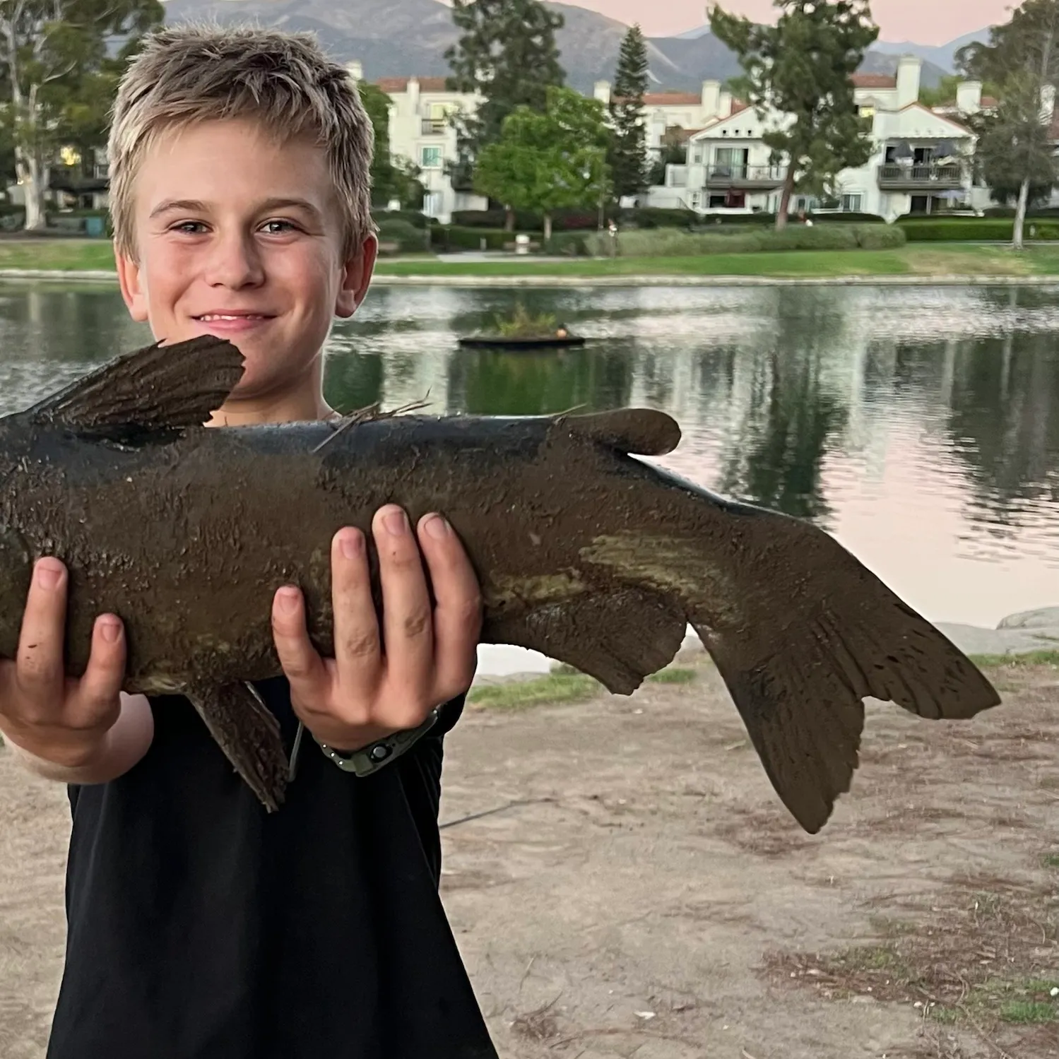 Channel catfish caught on Fishbrain