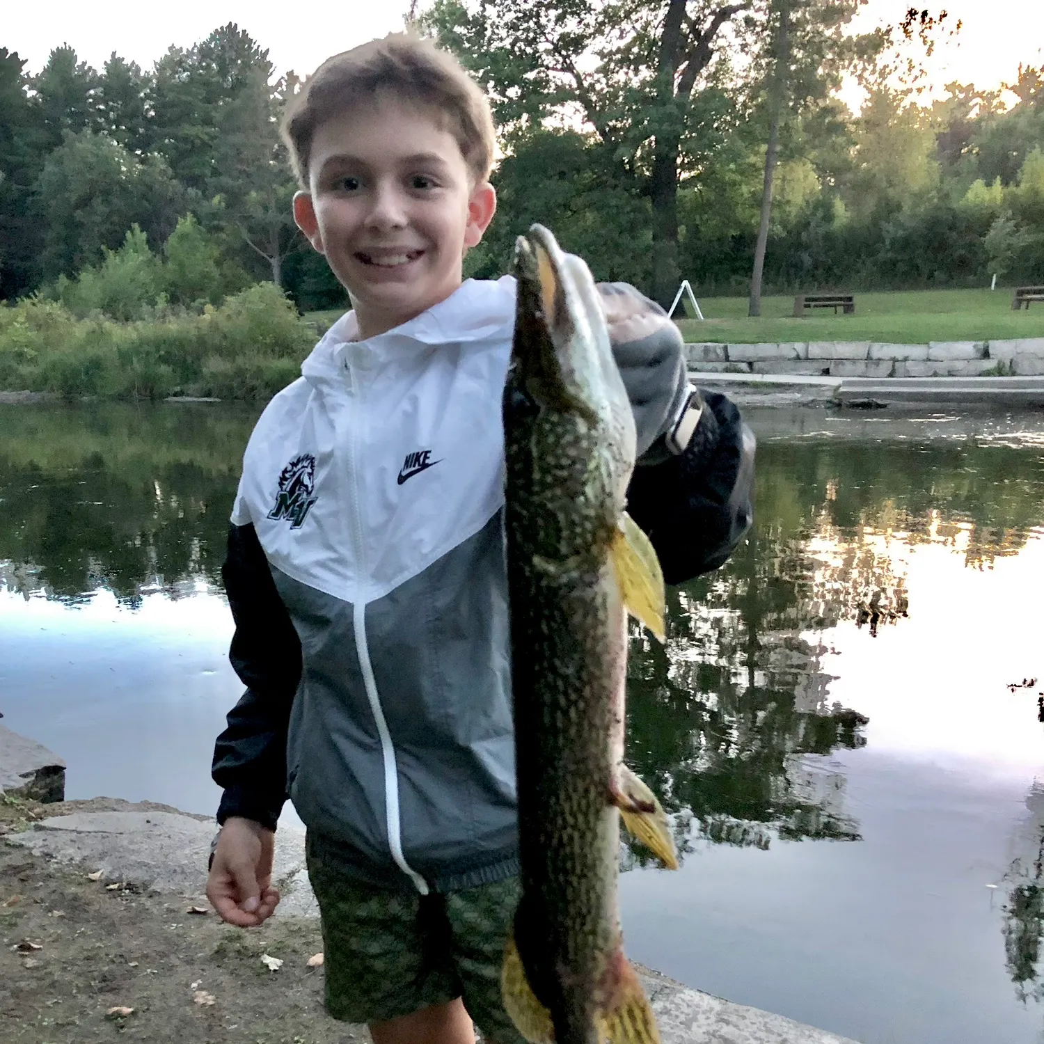 Northern pike caught on Fishbrain