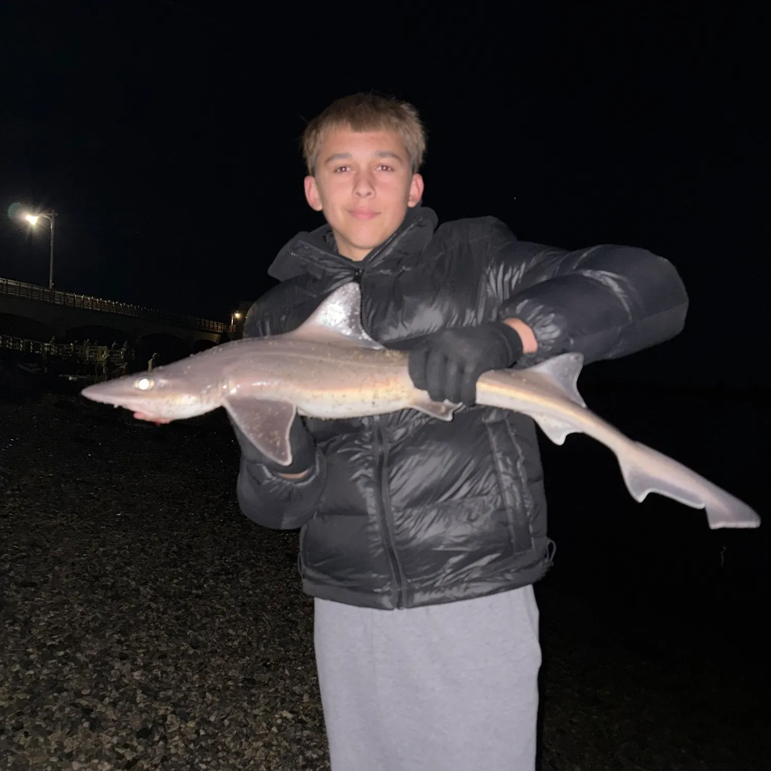 Dusky smooth-hound caught on Fishbrain