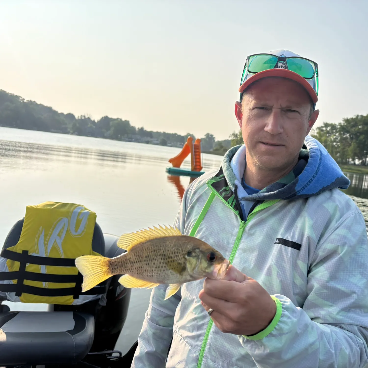 Rock bass caught on Fishbrain
