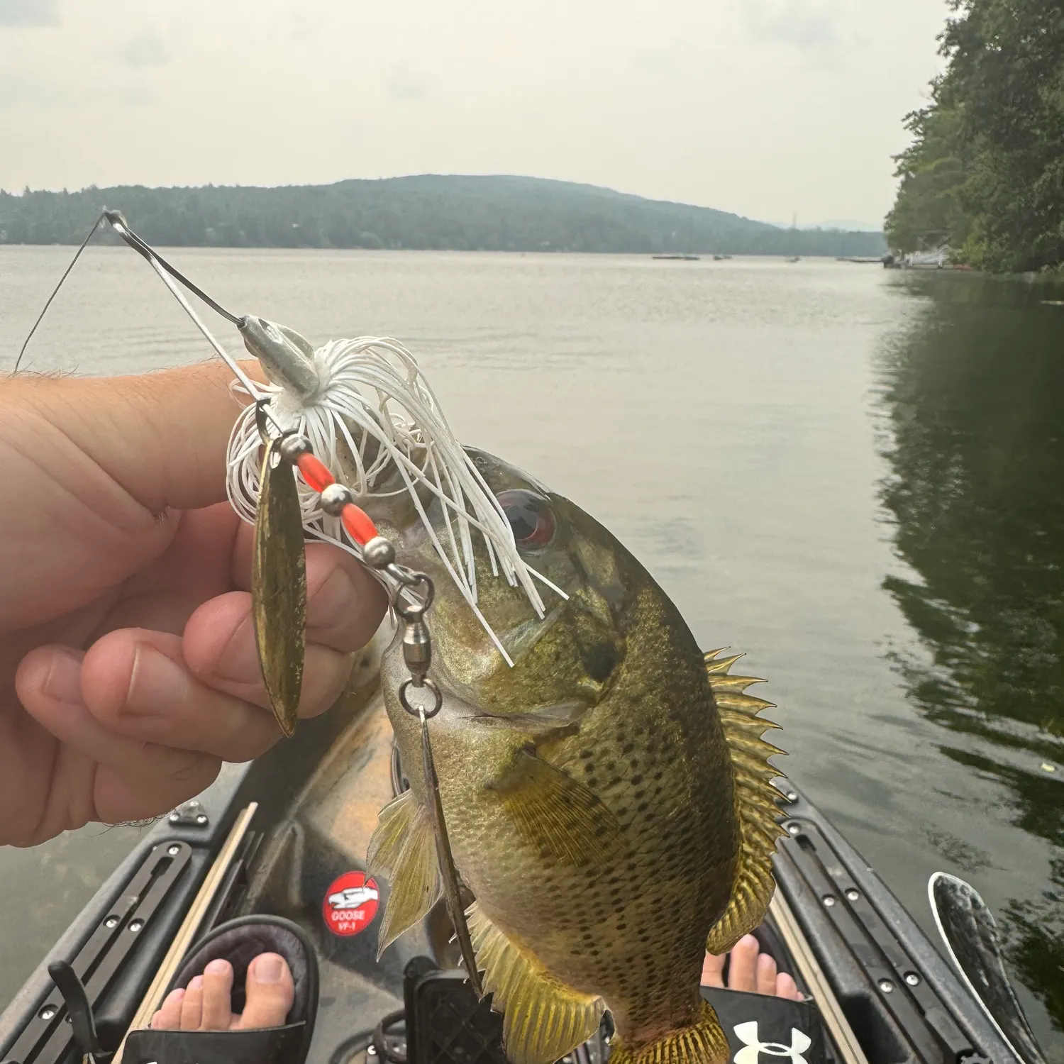 recently logged catches