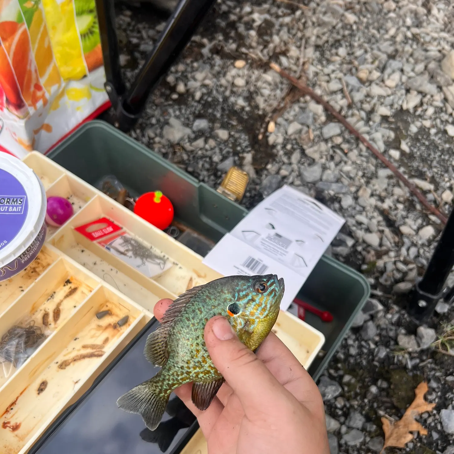 catch