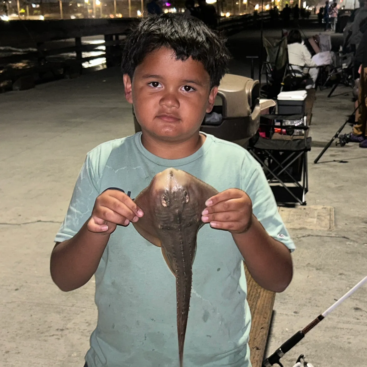 Thornback ray caught on Fishbrain