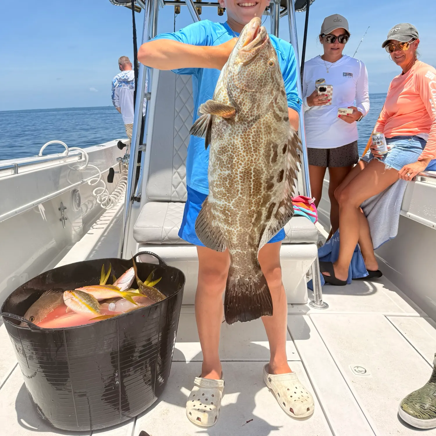 The most recent Gulf grouper catches on Fishbrain