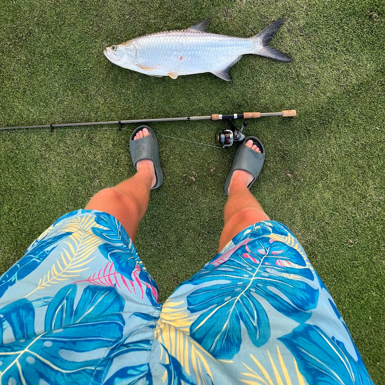 The most recent Tarpon catches on Fishbrain