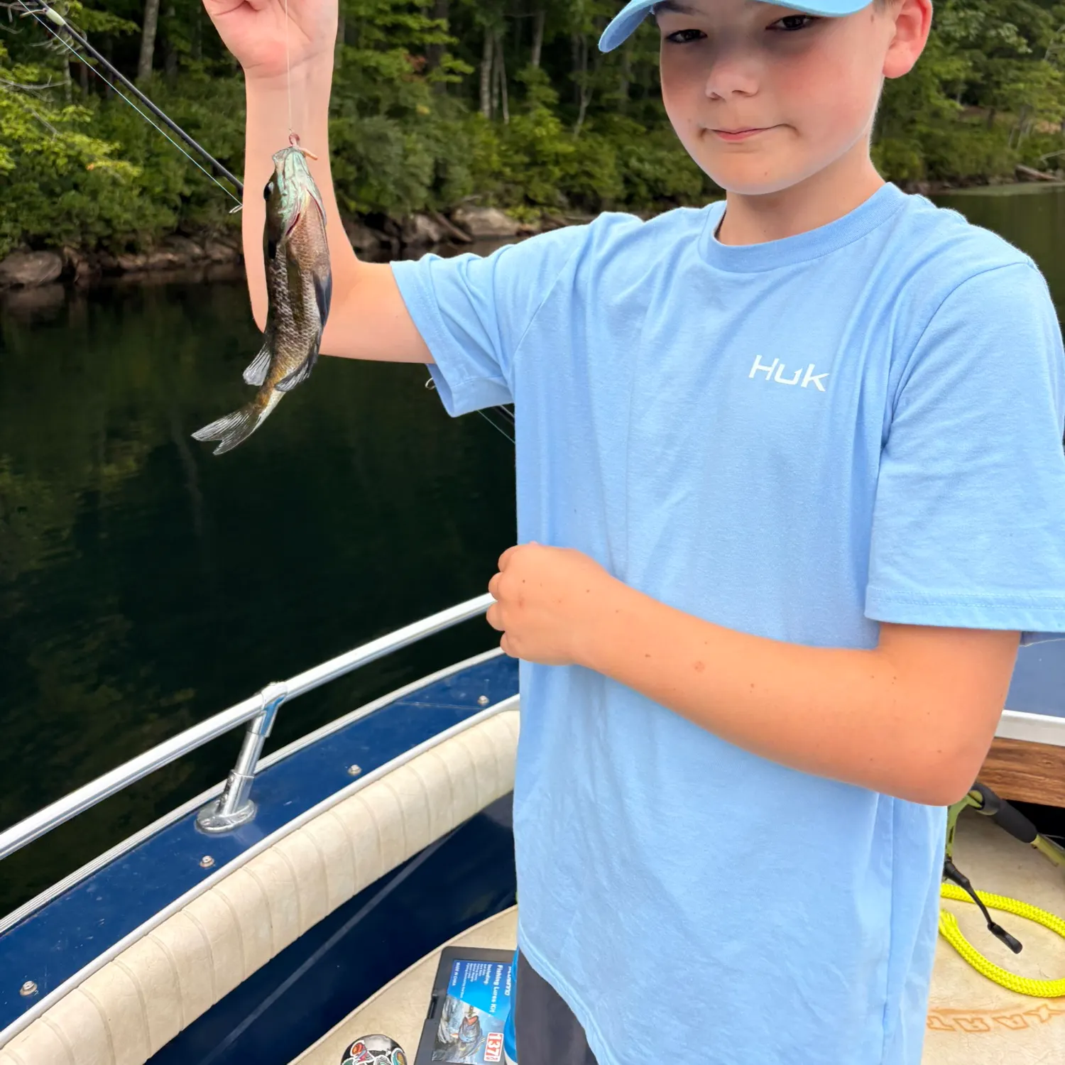 Bluegill caught on Fishbrain
