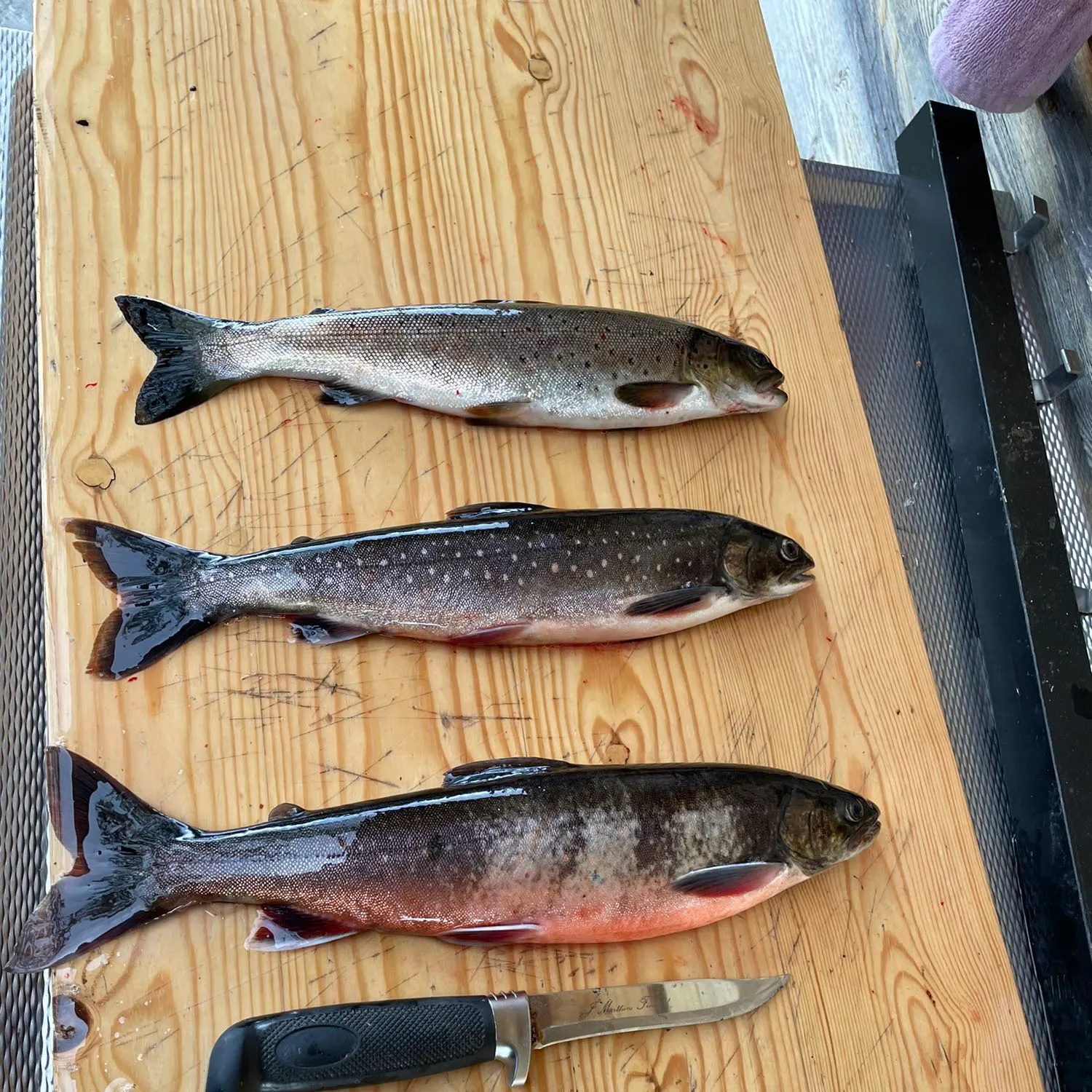 recently logged catches