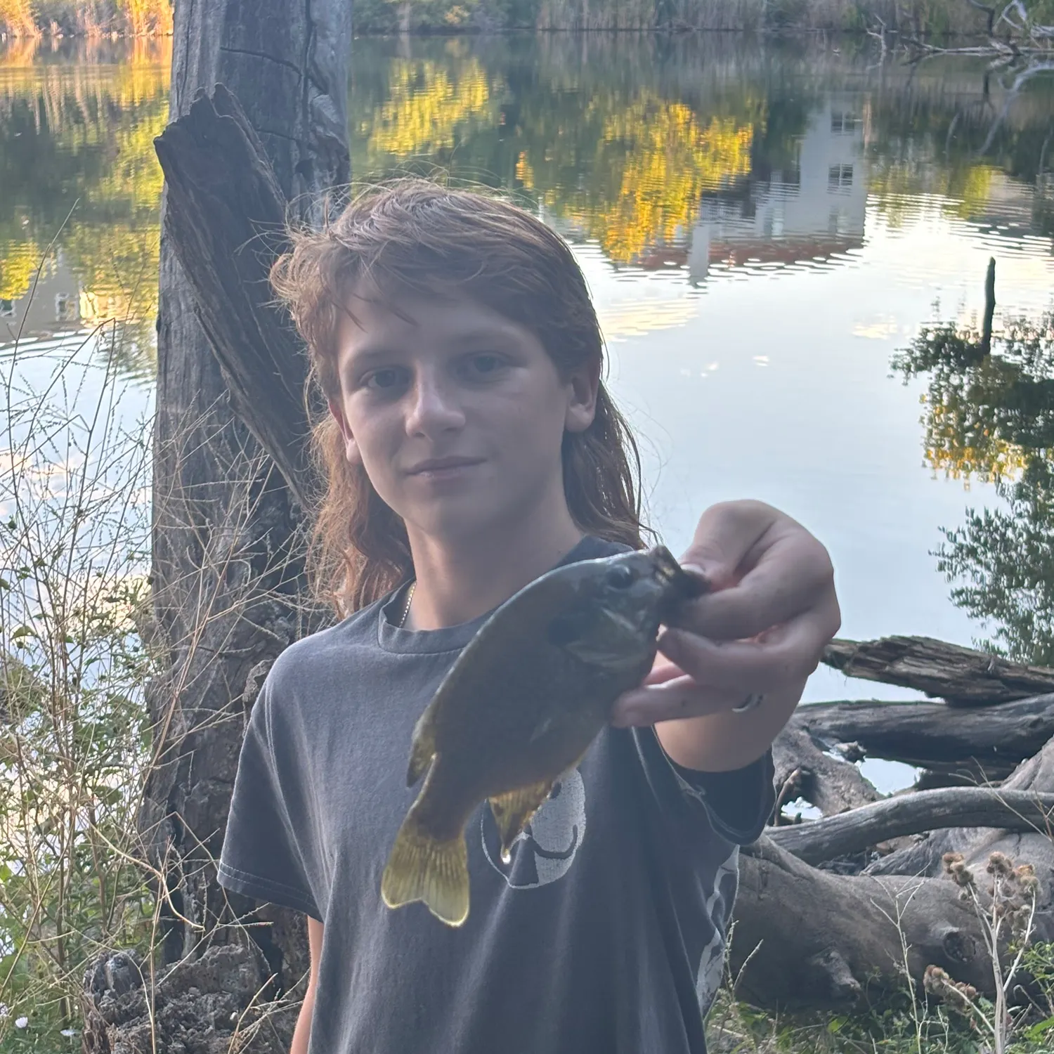 Greengill hybrid caught on Fishbrain
