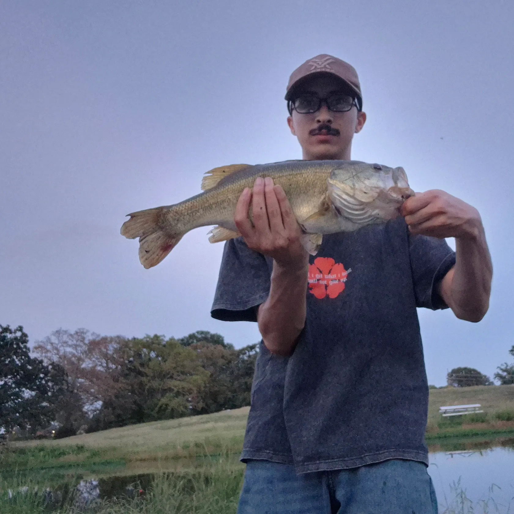 Largemouth bass caught on Fishbrain