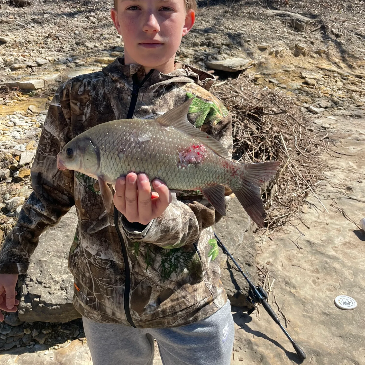 The most recent Common carp catches on Fishbrain