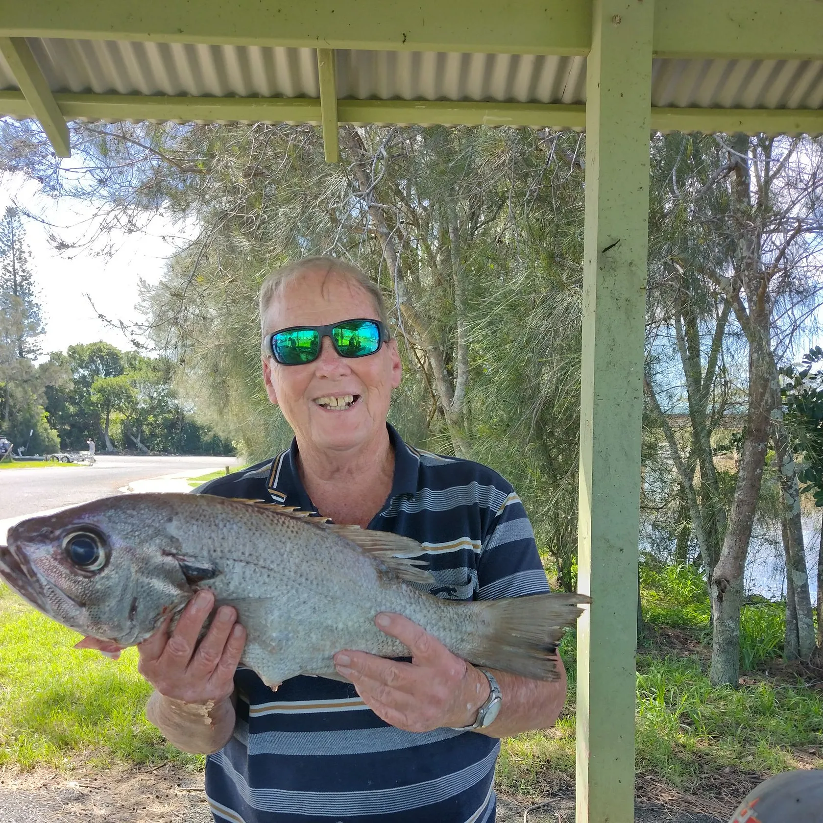 The most popular recent Pearl perch catch on Fishbrain