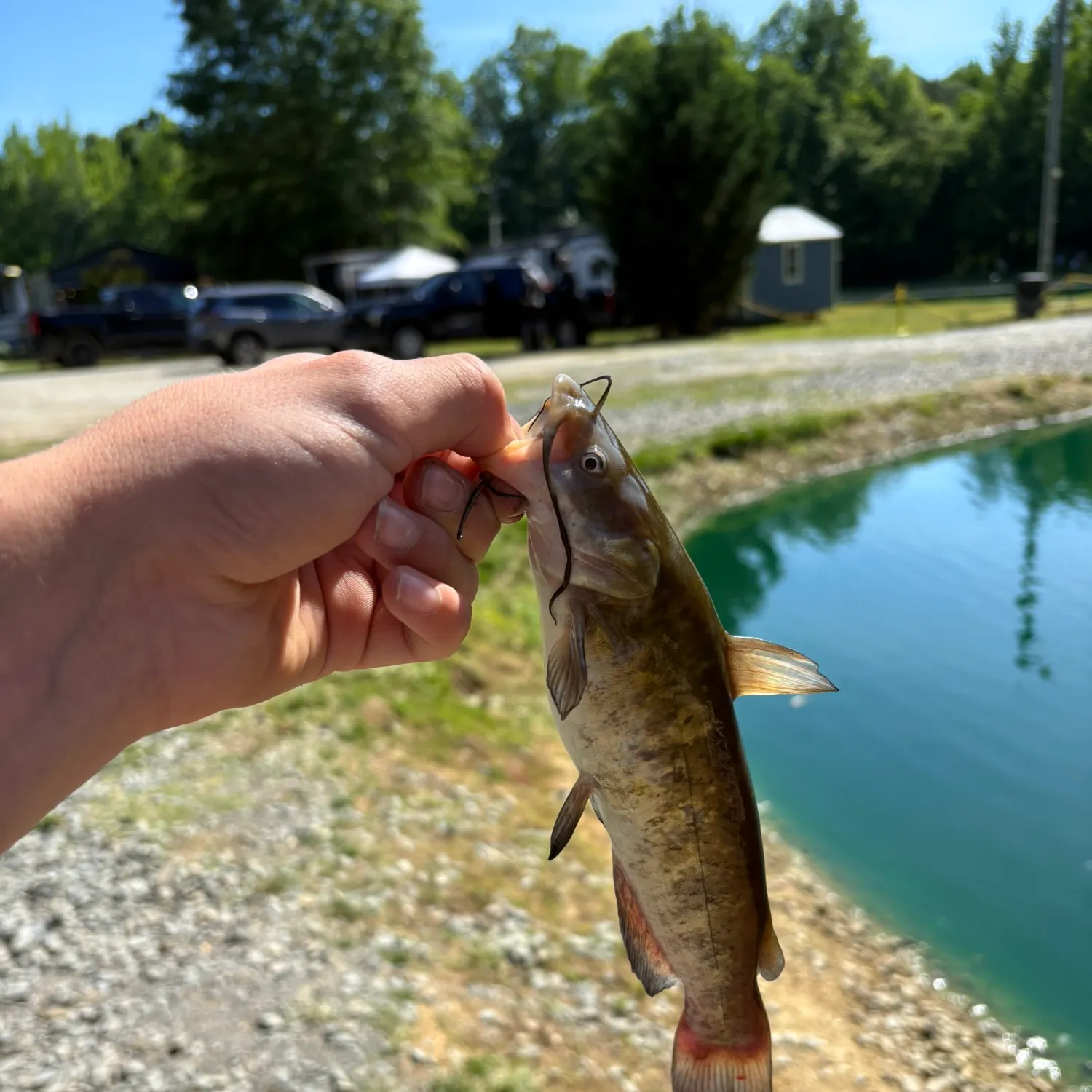 catch