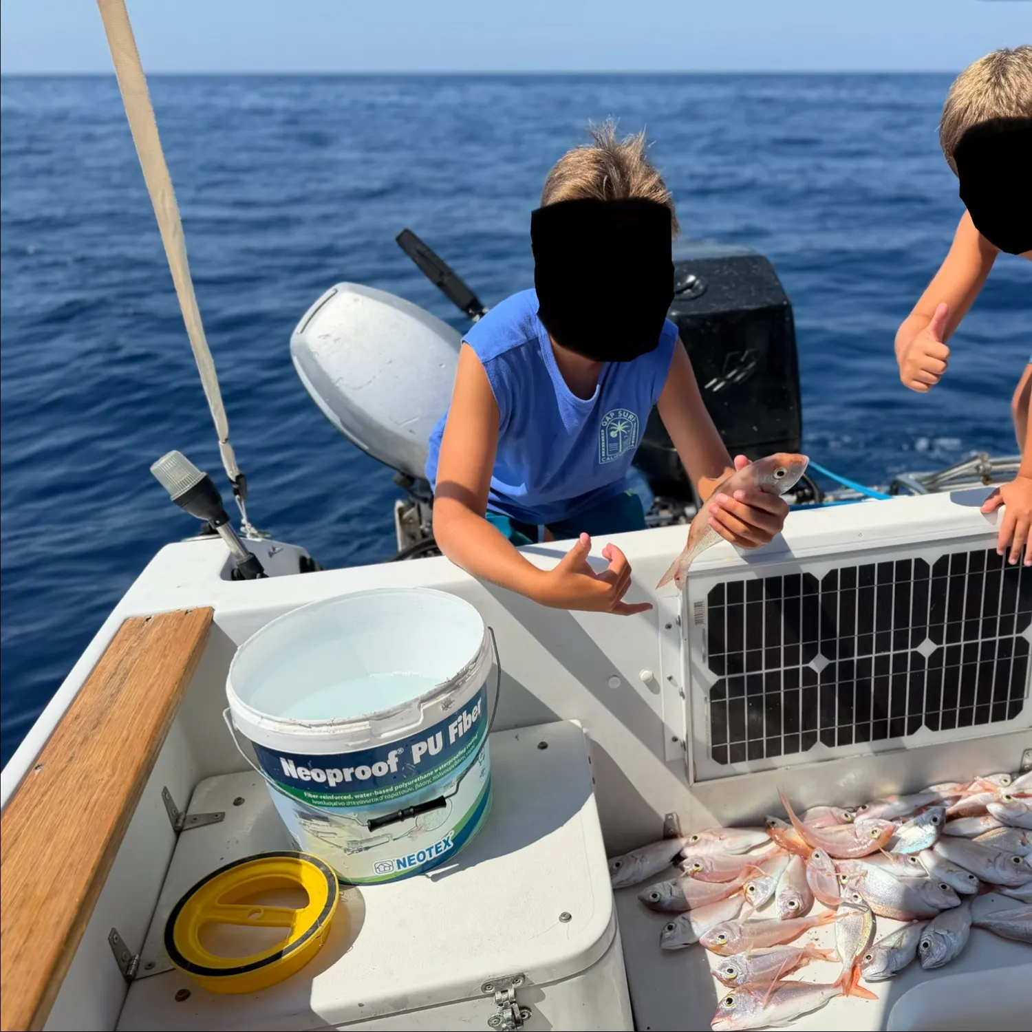 Common pandora caught on Fishbrain