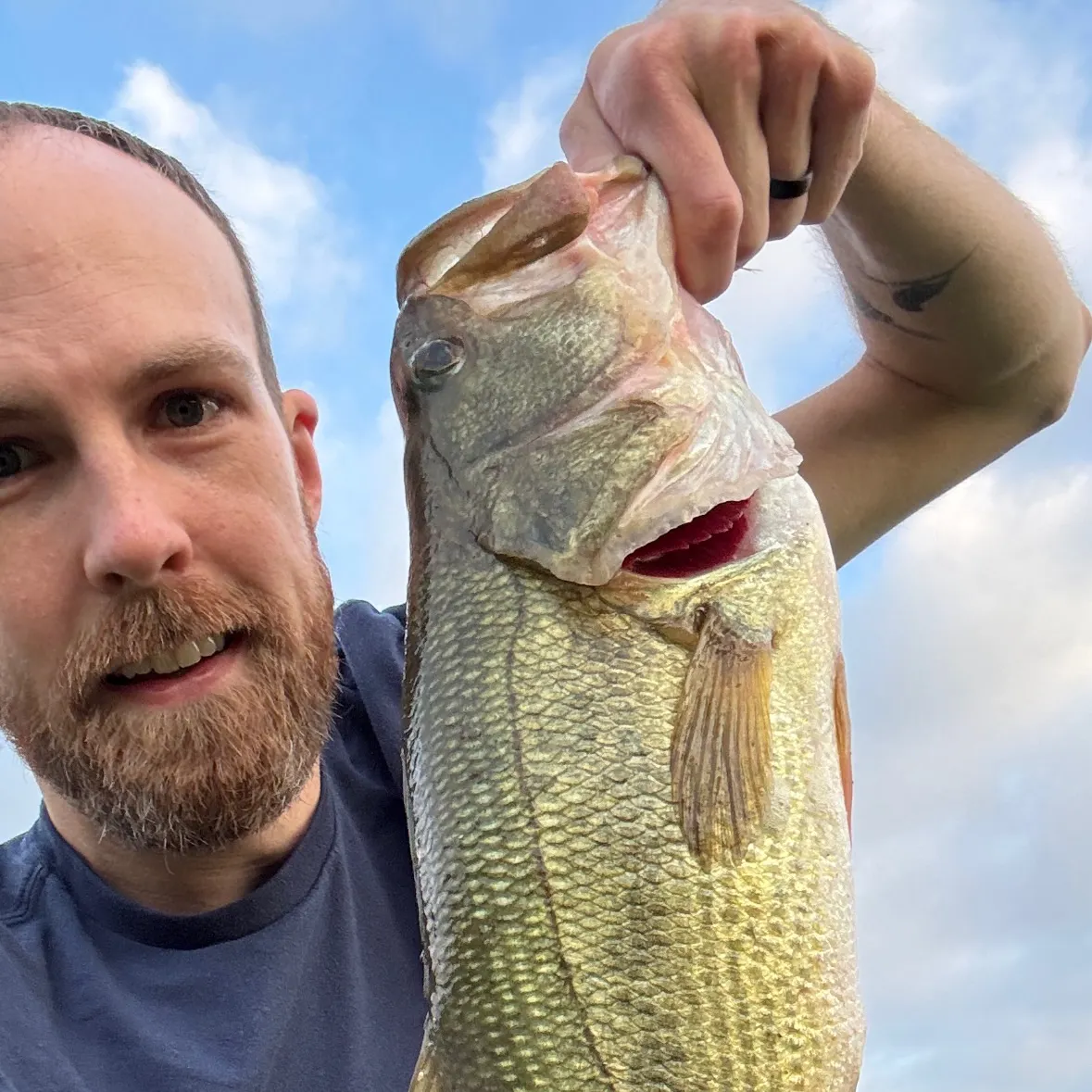 Largemouth bass caught on Fishbrain