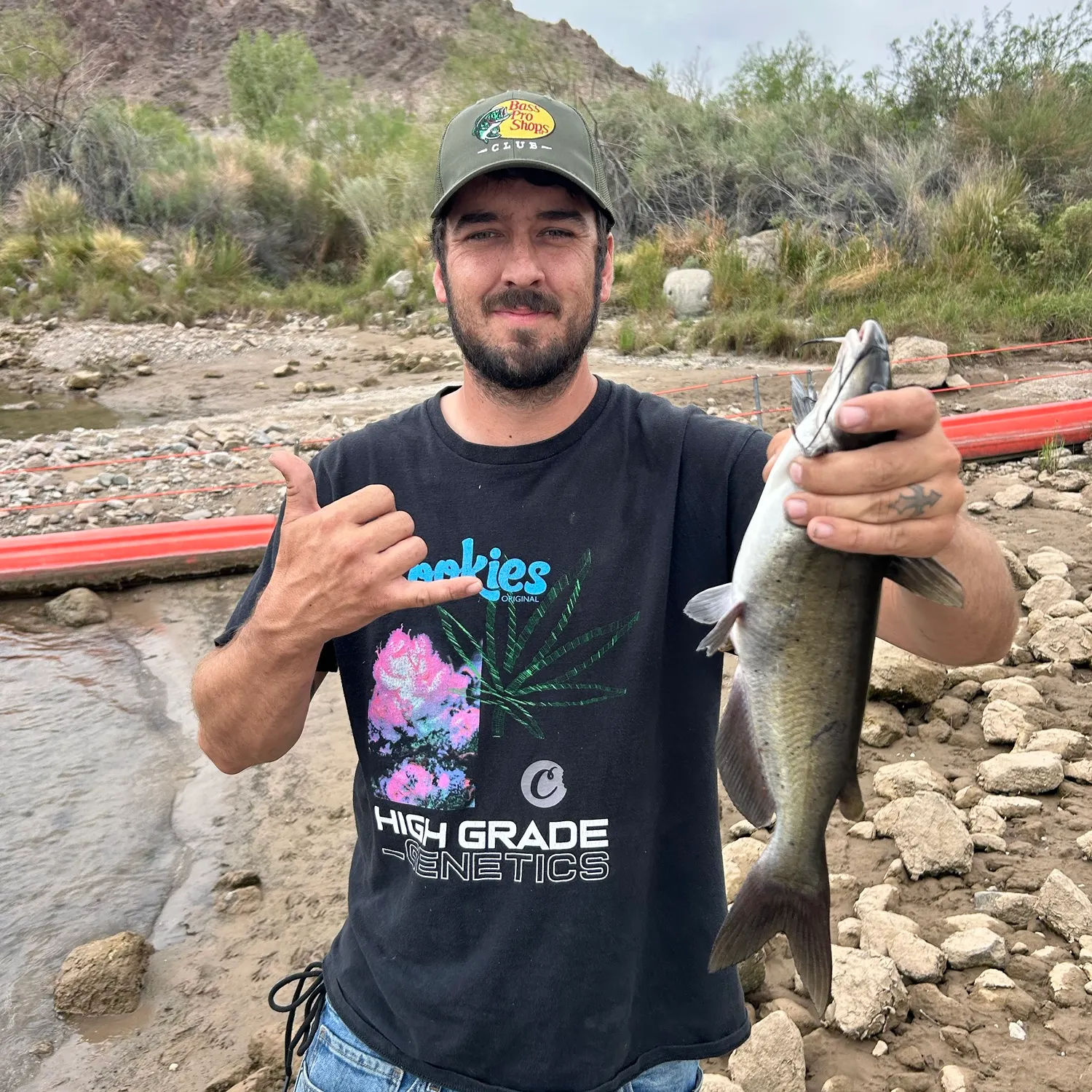 Channel catfish caught on Fishbrain