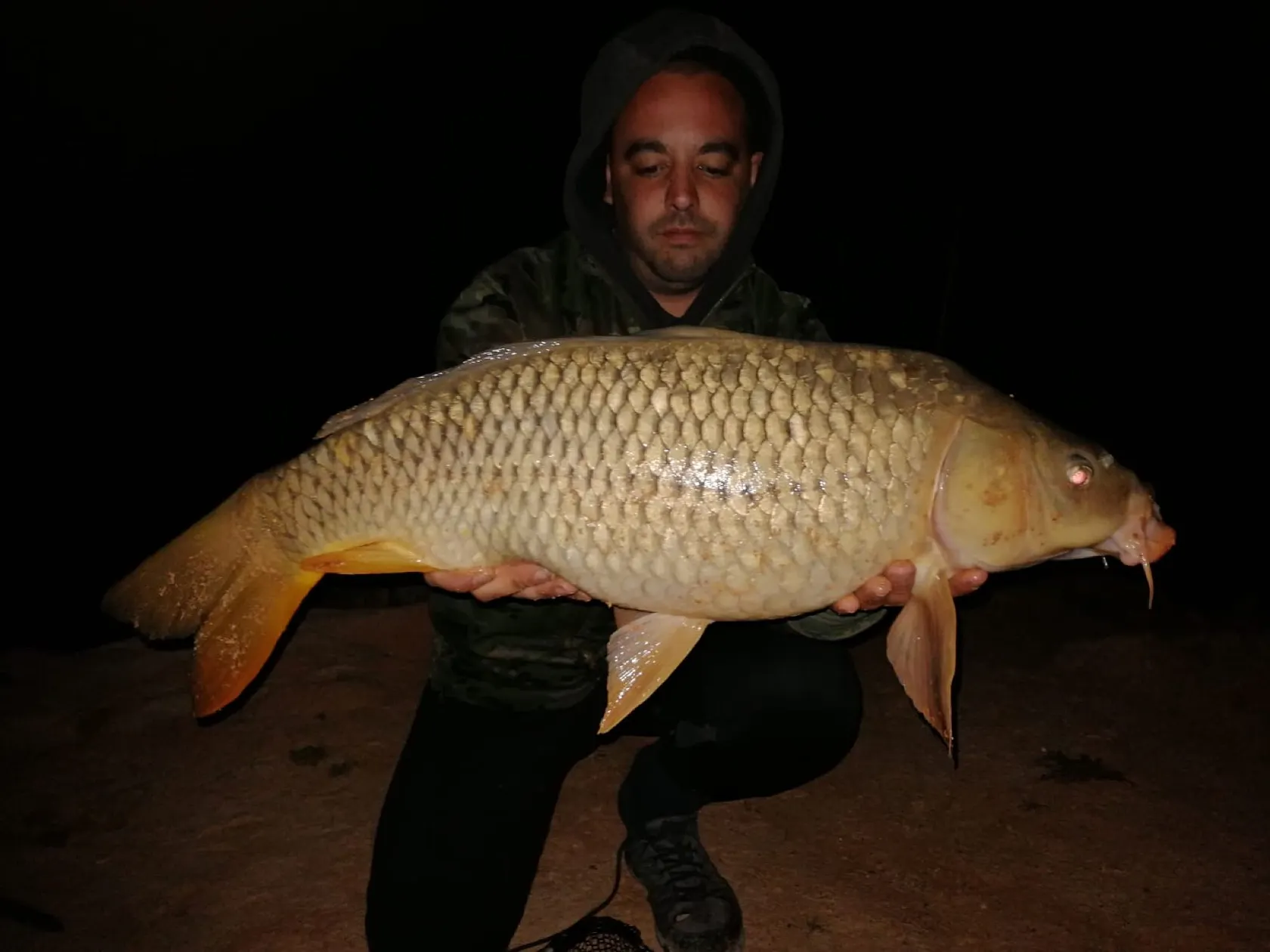 Post image from aperez8411