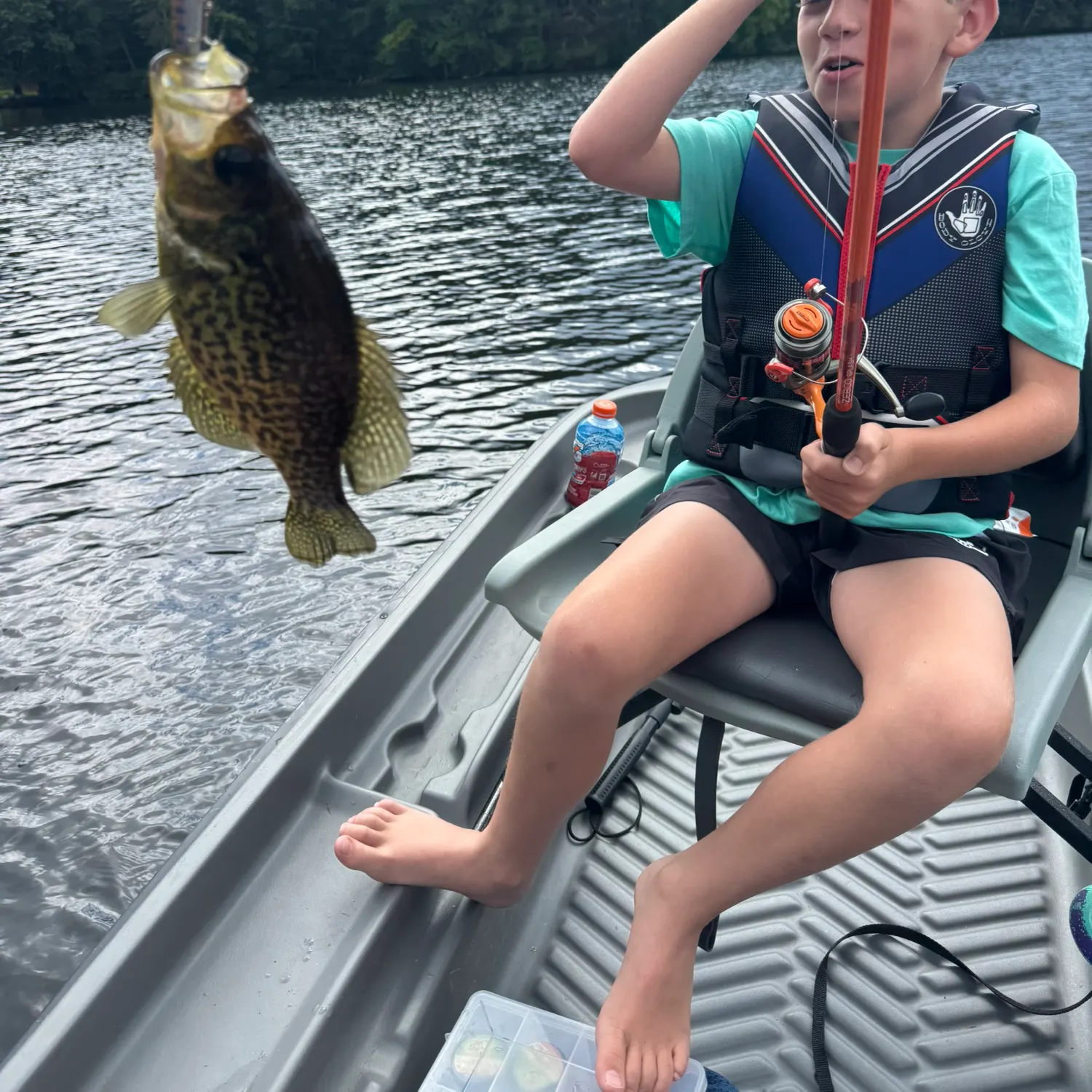 Black crappie caught on Fishbrain