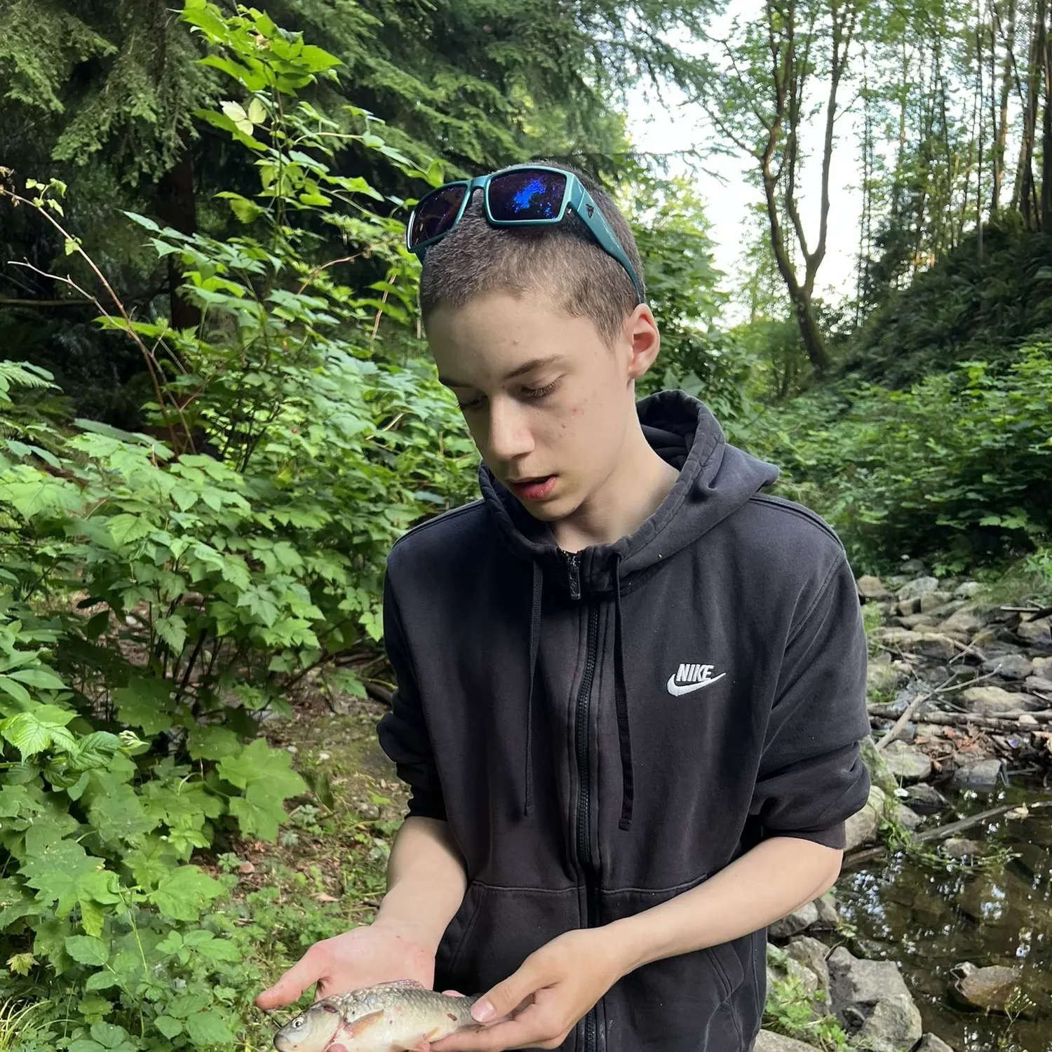 The most recent Prussian carp catches on Fishbrain