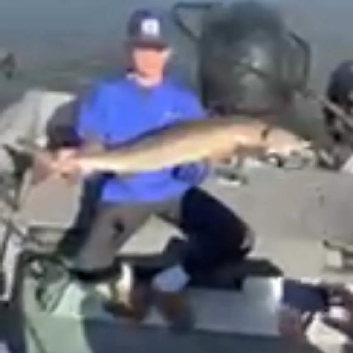 Lake sturgeon caught on Fishbrain