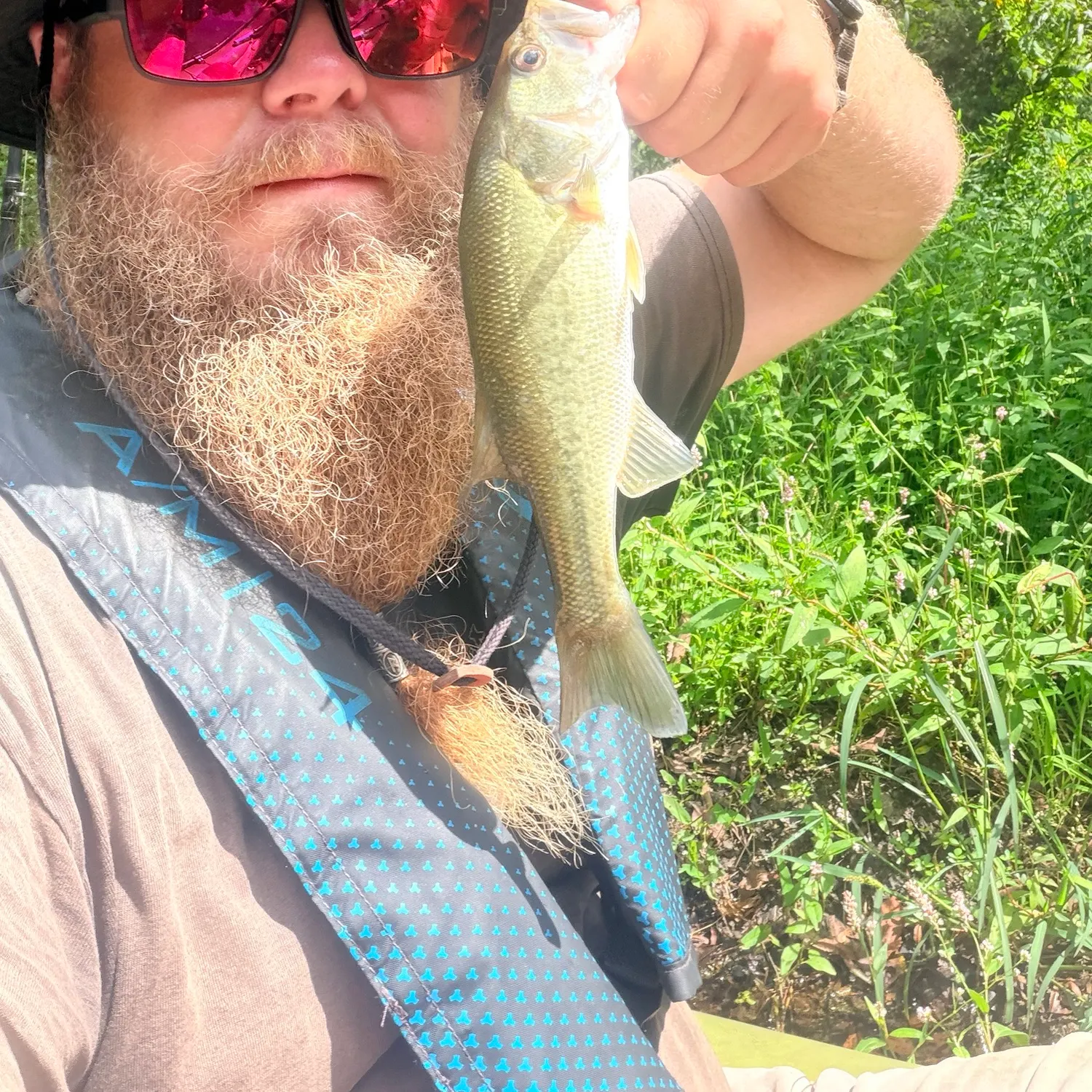 Largemouth bass caught on Fishbrain
