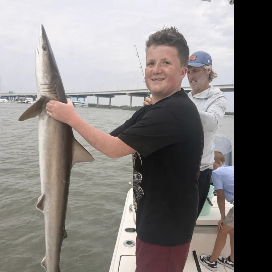 The most recent Finetooth shark catches on Fishbrain