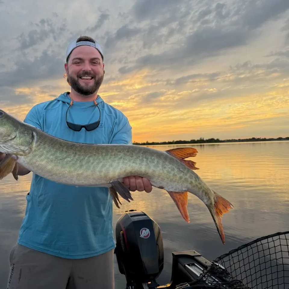 The most recent Muskellunge catches on Fishbrain