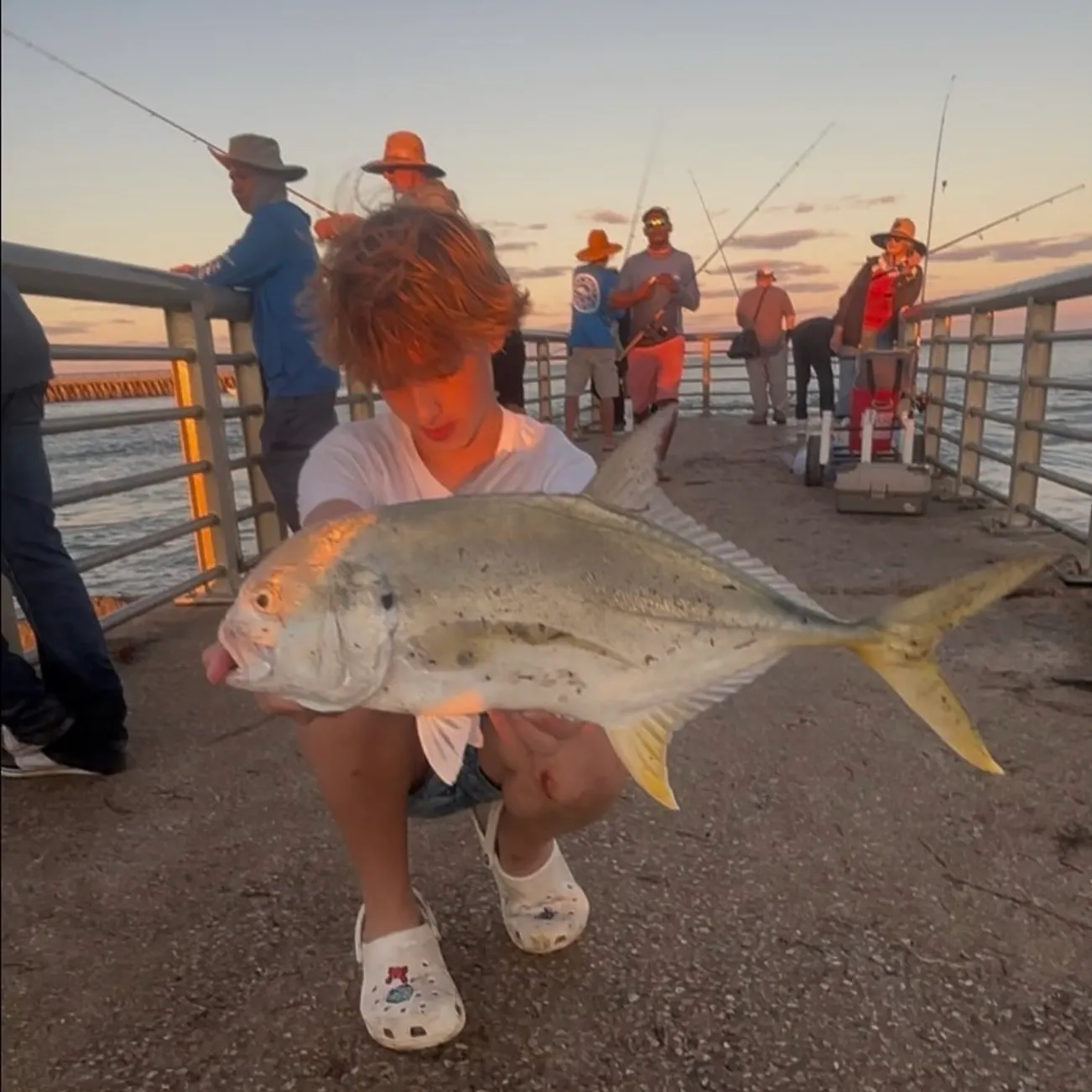 The most recent Pacific crevalle jack catches on Fishbrain