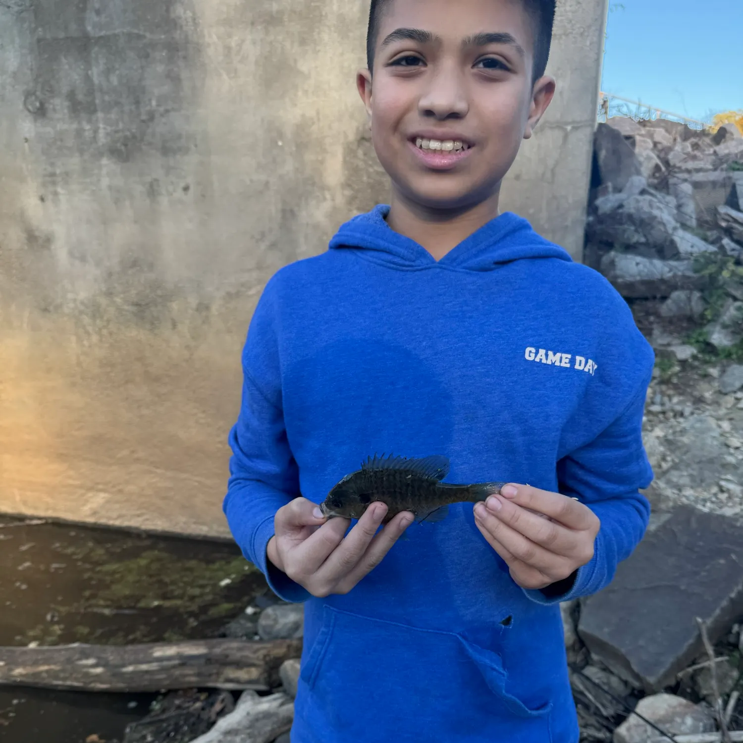 Bluegill caught on Fishbrain
