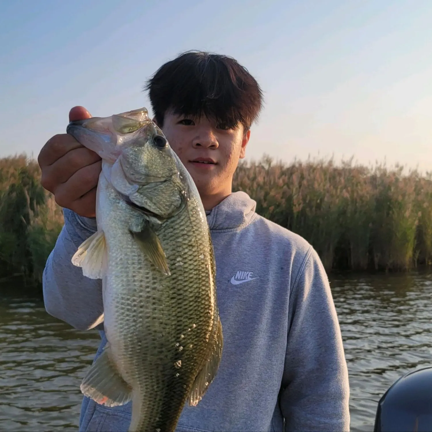angler catch