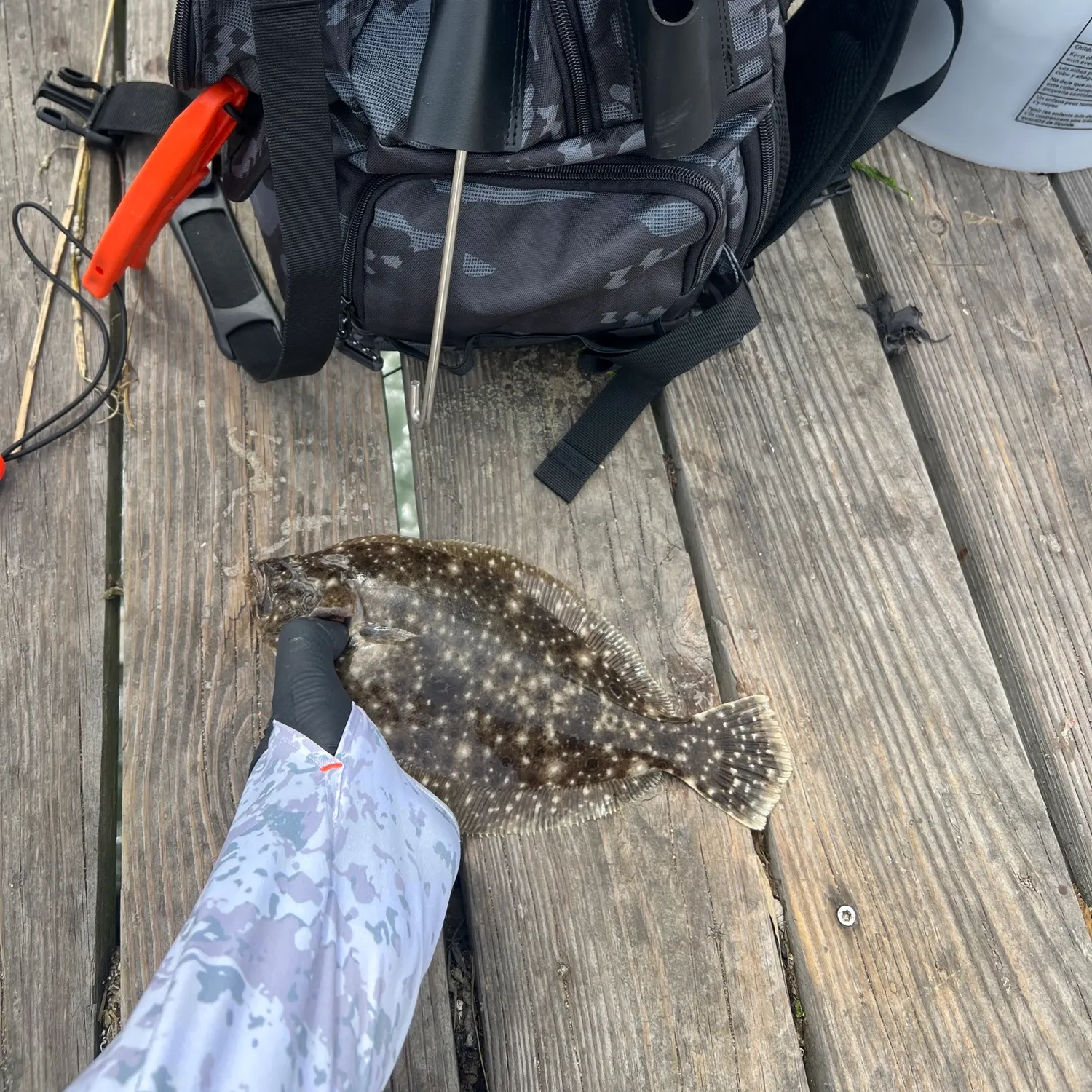 catch