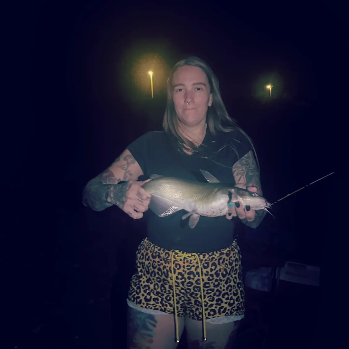 Channel catfish caught on Fishbrain