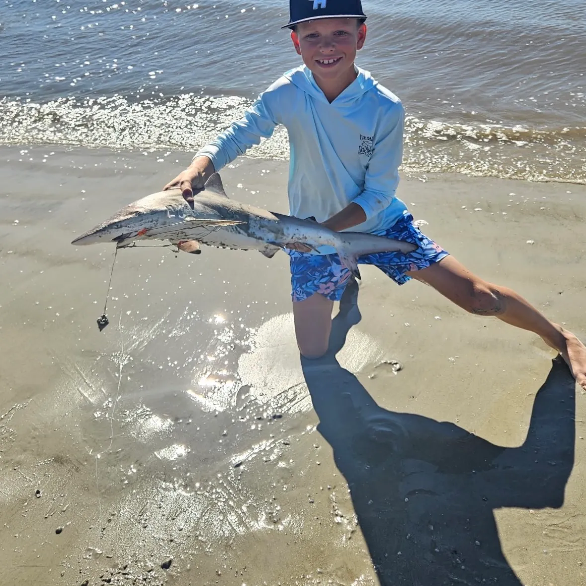 The most recent Spinner shark catches on Fishbrain
