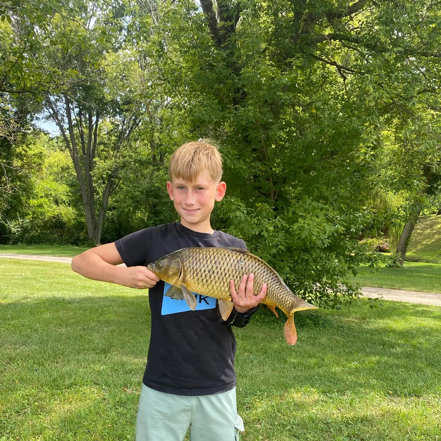 Common carp caught on Fishbrain