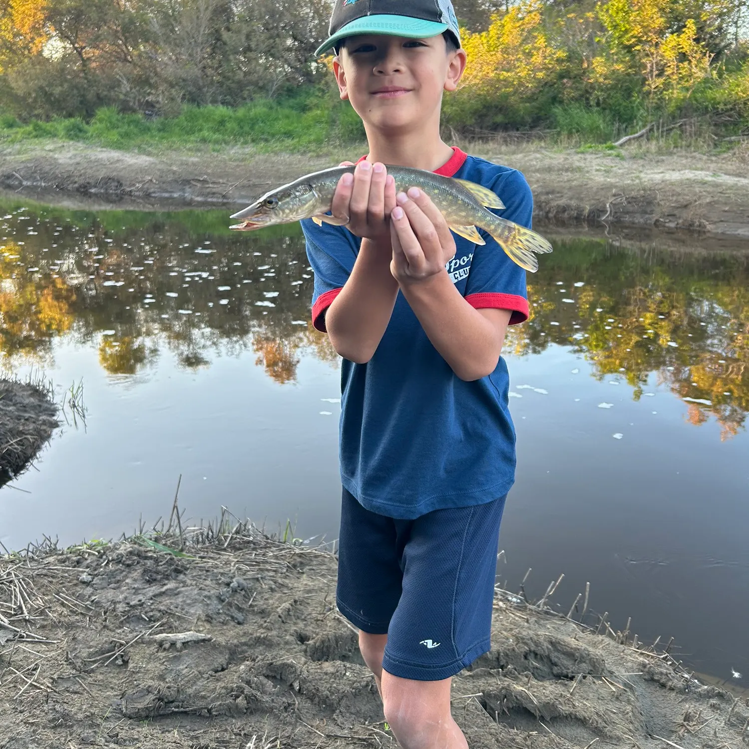 Northern pike caught on Fishbrain