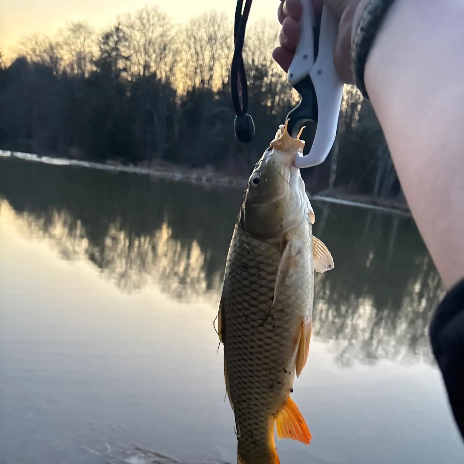 angler catch