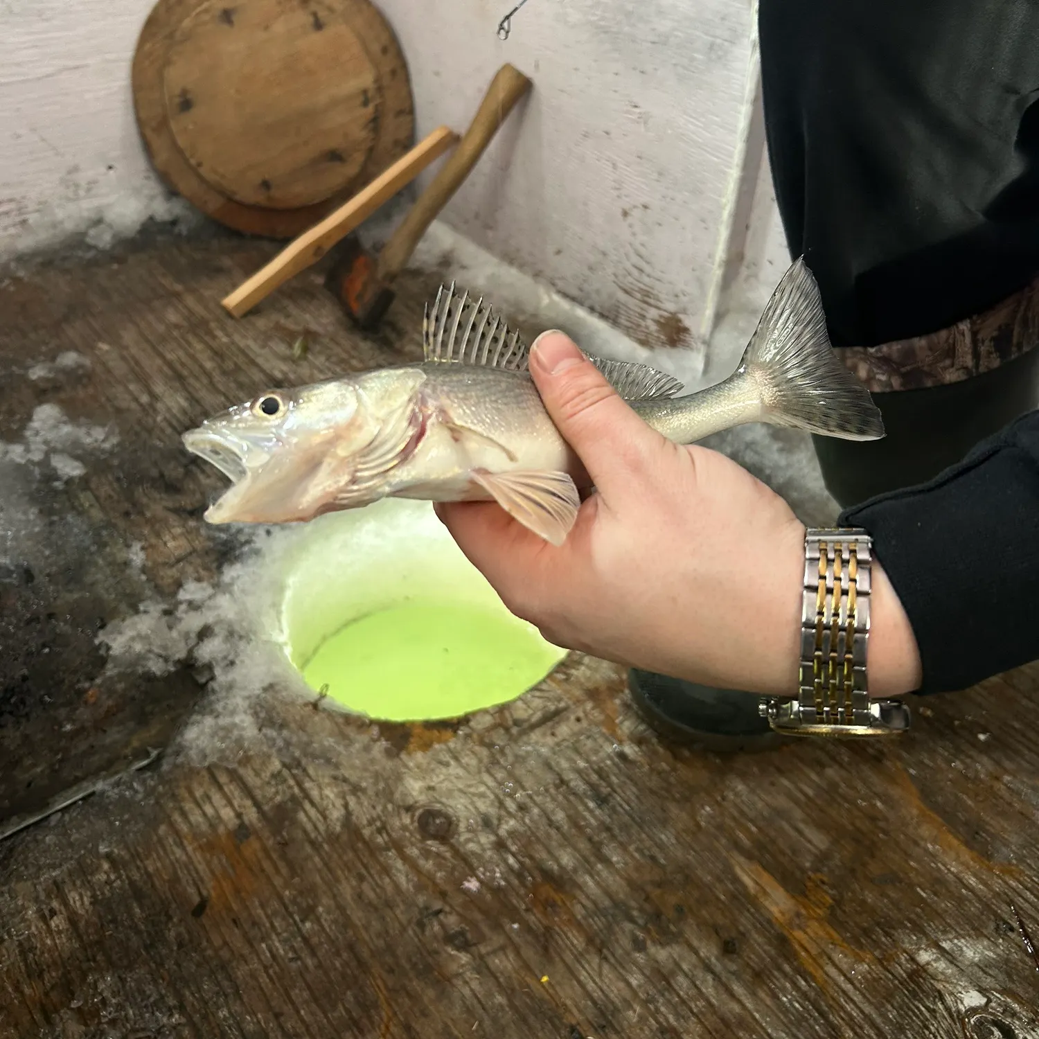 recently logged catches