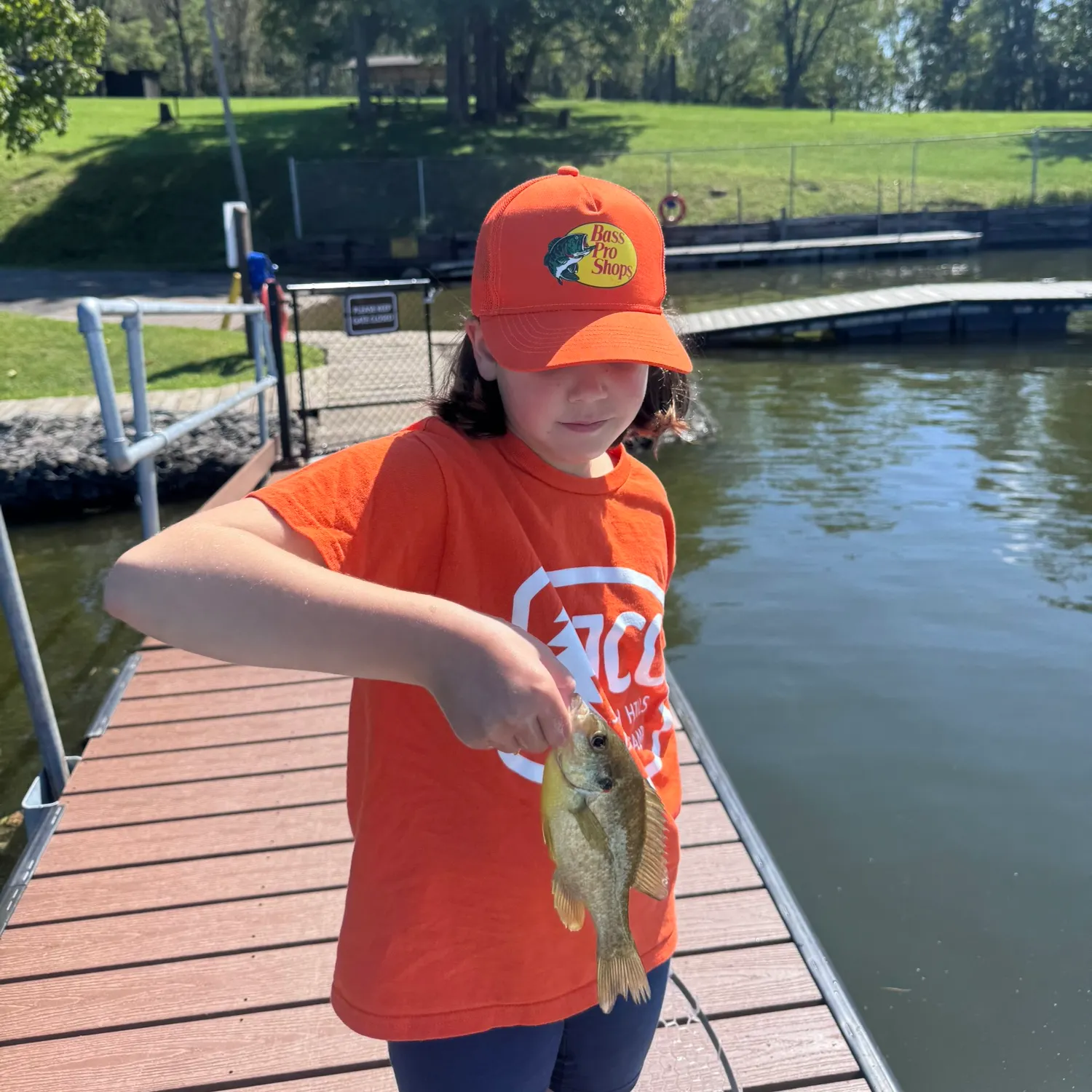 Redear sunfish caught on Fishbrain