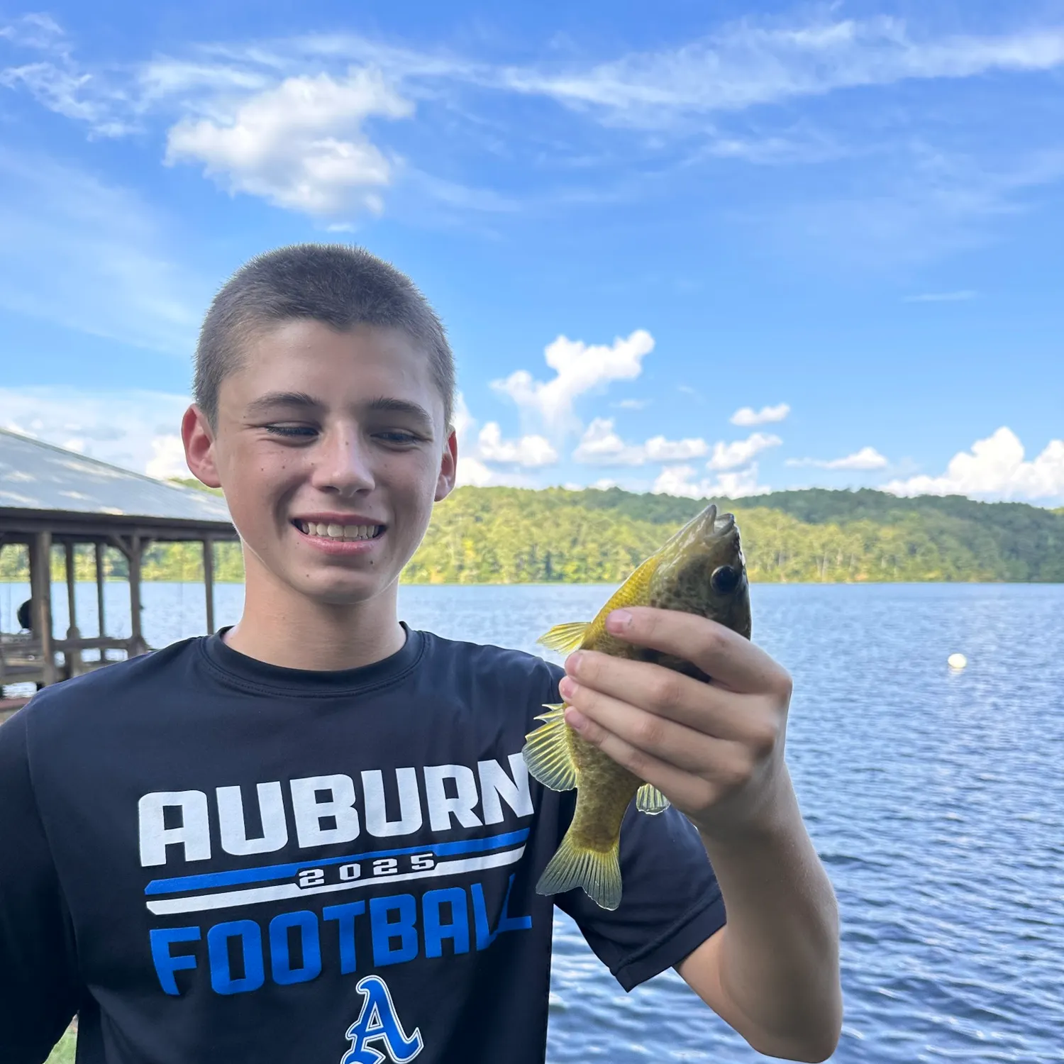 Yellow perch caught on Fishbrain