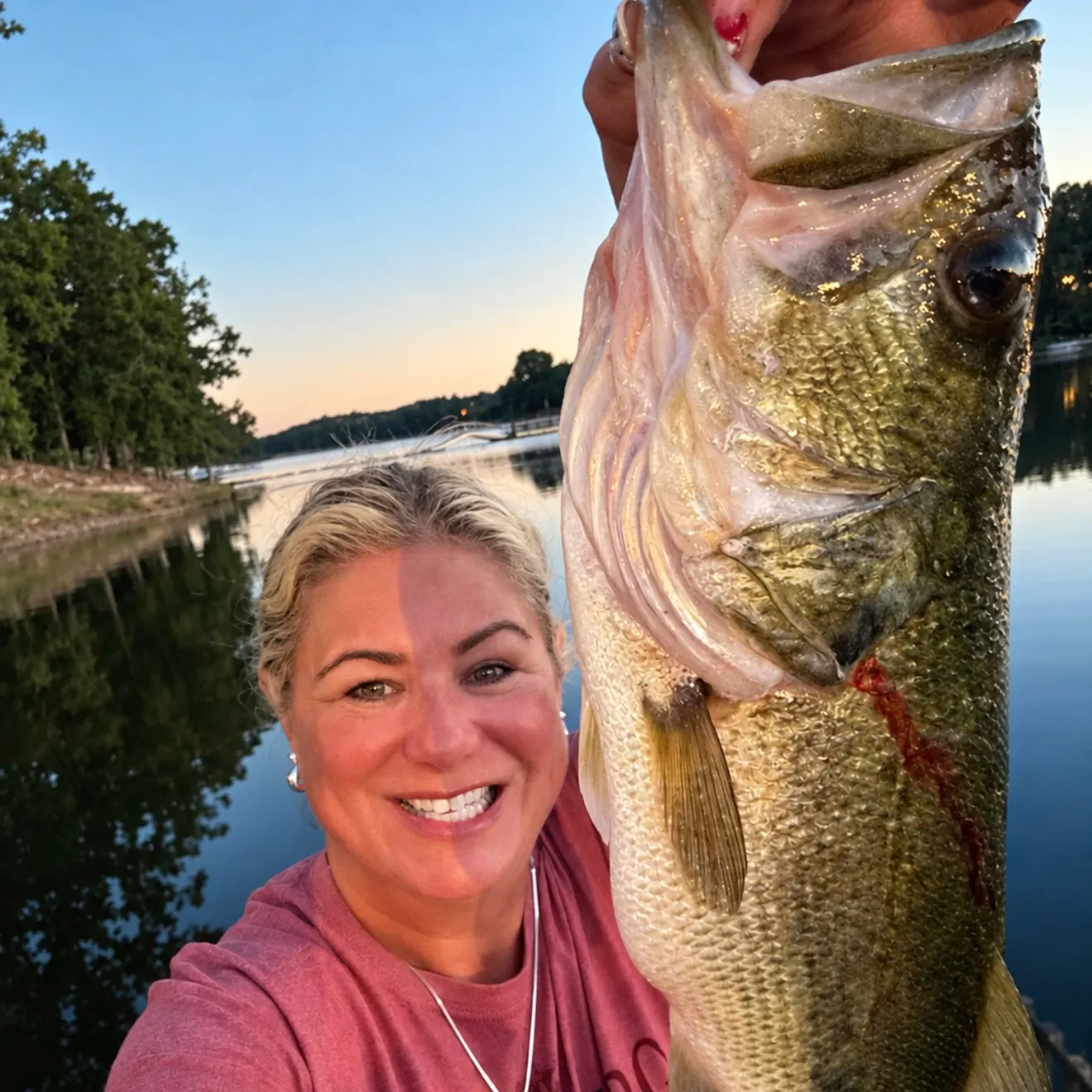 Largemouth bass caught on Fishbrain
