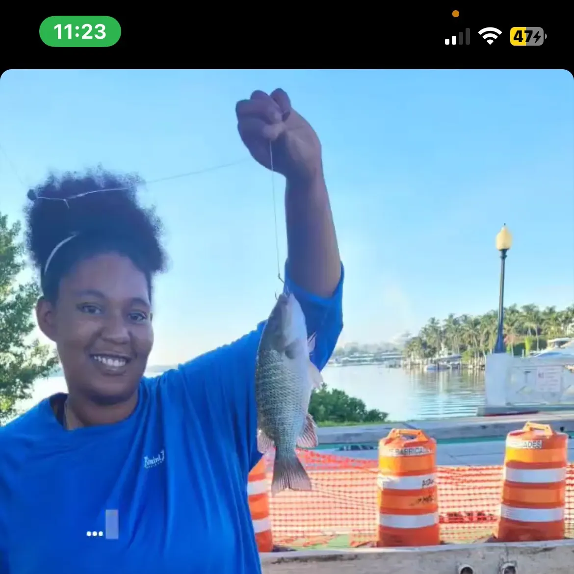 recently logged catches